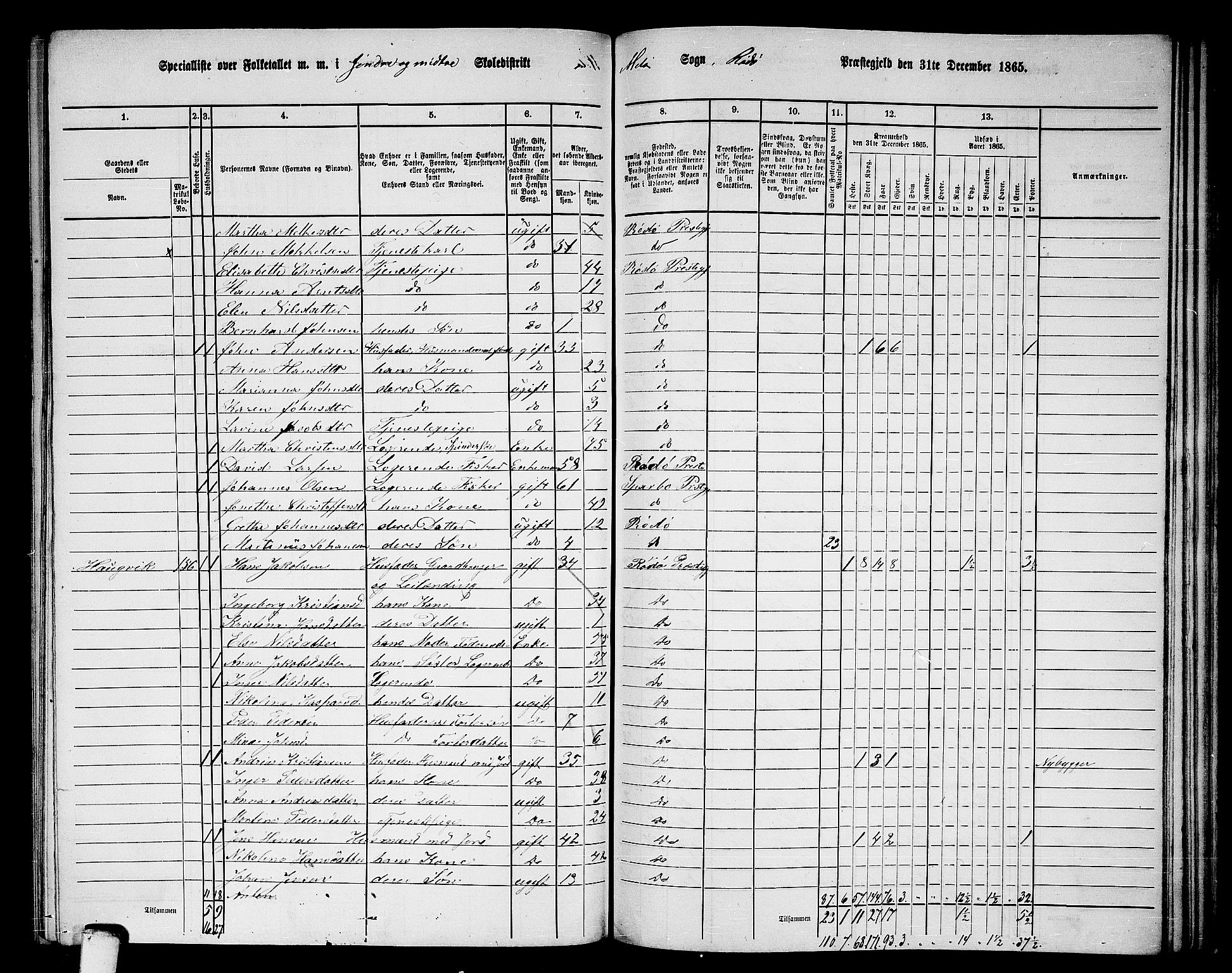 RA, 1865 census for Rødøy, 1865, p. 97