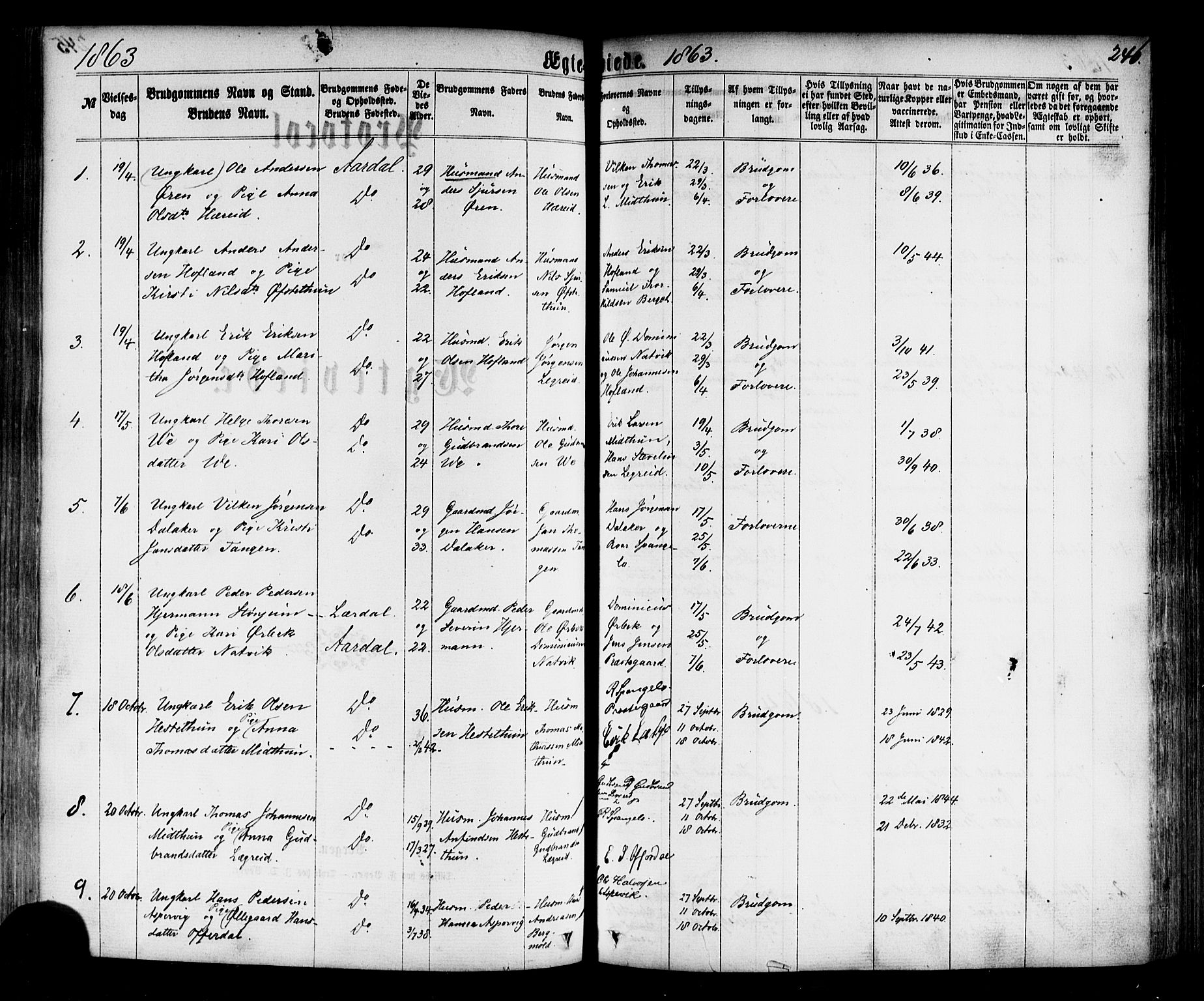 Årdal sokneprestembete, SAB/A-81701: Parish register (official) no. A 3, 1863-1886, p. 246