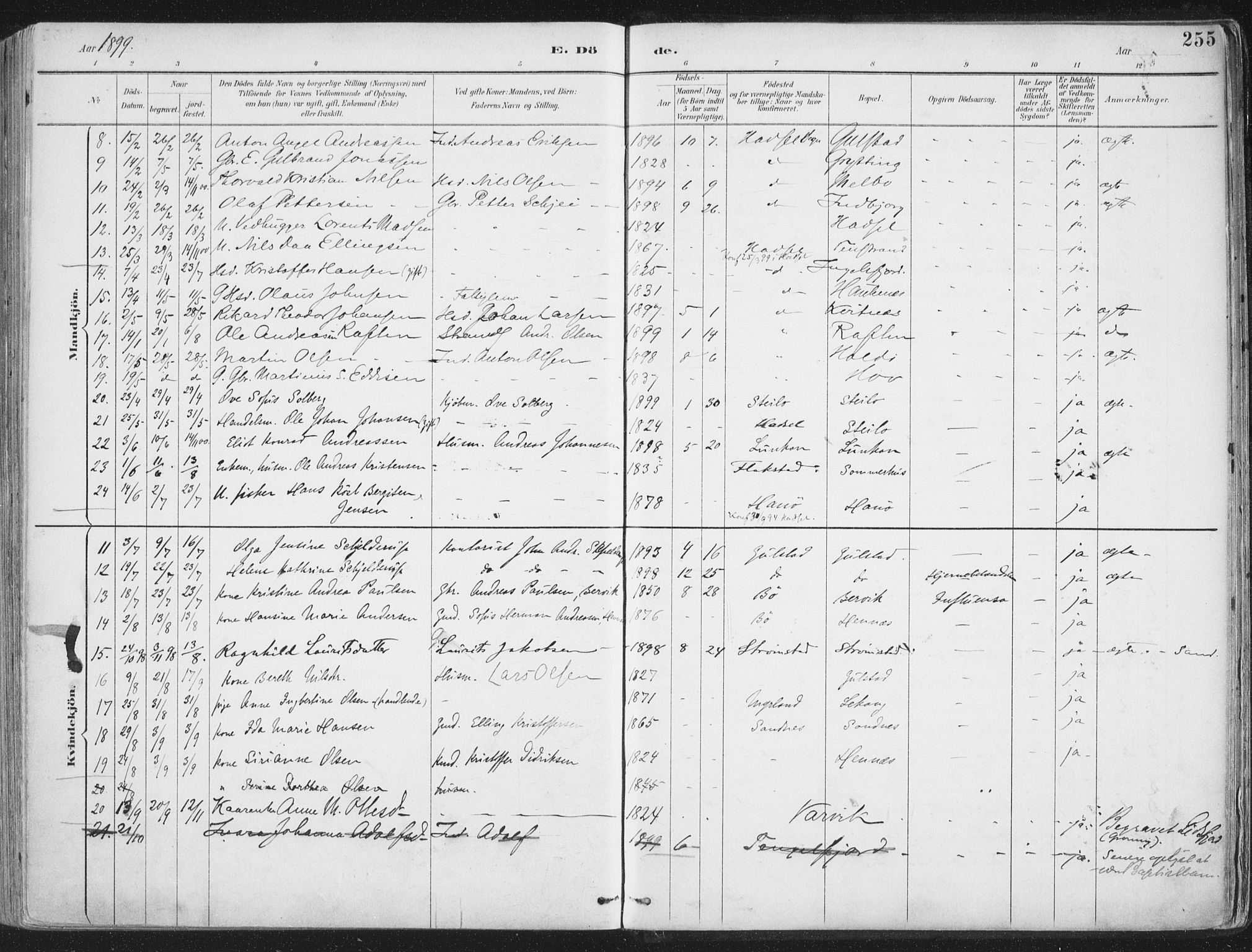 Ministerialprotokoller, klokkerbøker og fødselsregistre - Nordland, SAT/A-1459/888/L1246: Parish register (official) no. 888A12, 1891-1903, p. 255