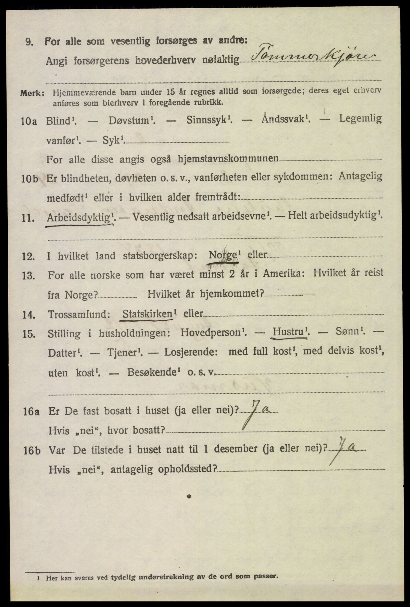 SAH, 1920 census for Trysil, 1920, p. 6236