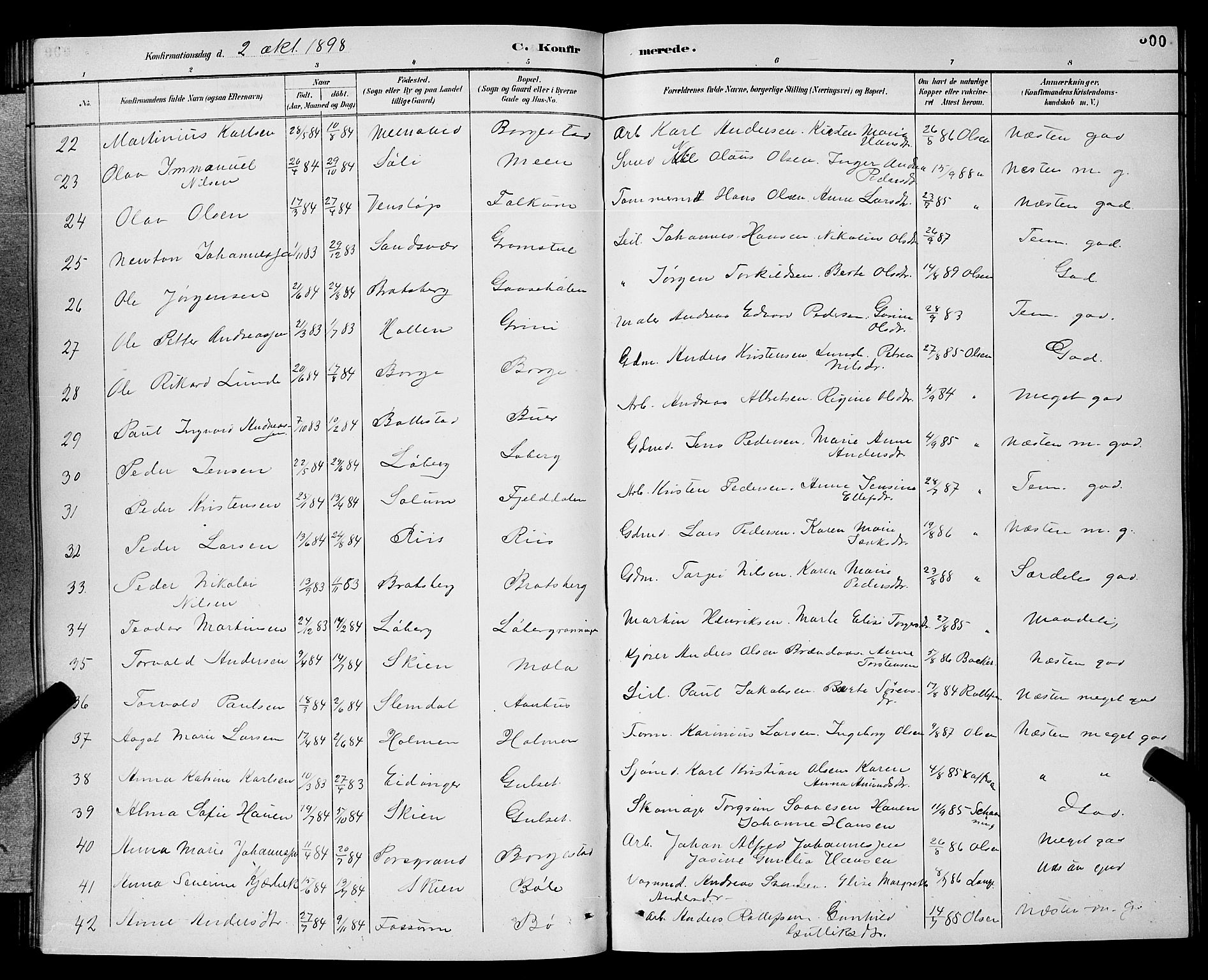 Gjerpen kirkebøker, AV/SAKO-A-265/G/Ga/L0002: Parish register (copy) no. I 2, 1883-1900, p. 300