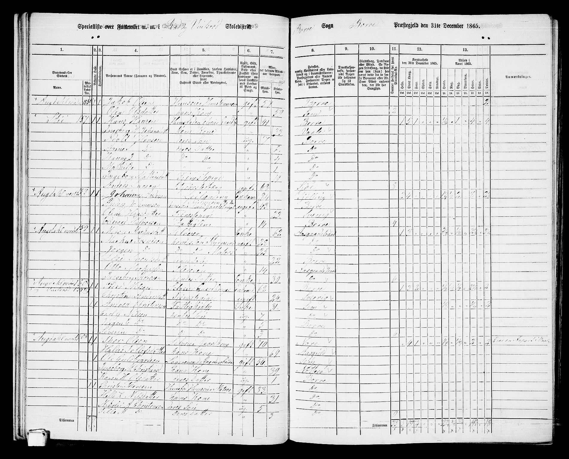 RA, 1865 census for Borre, 1865, p. 56