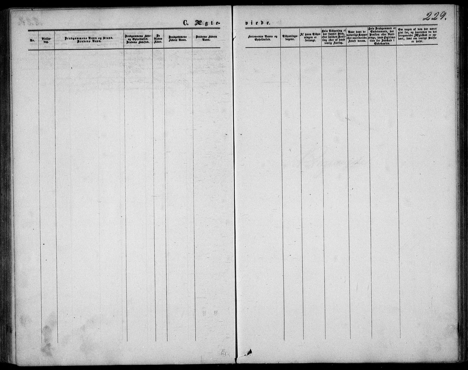 Garnisonsmenigheten Kirkebøker, AV/SAO-A-10846/F/Fa/L0011: Parish register (official) no. 11, 1870-1880, p. 229