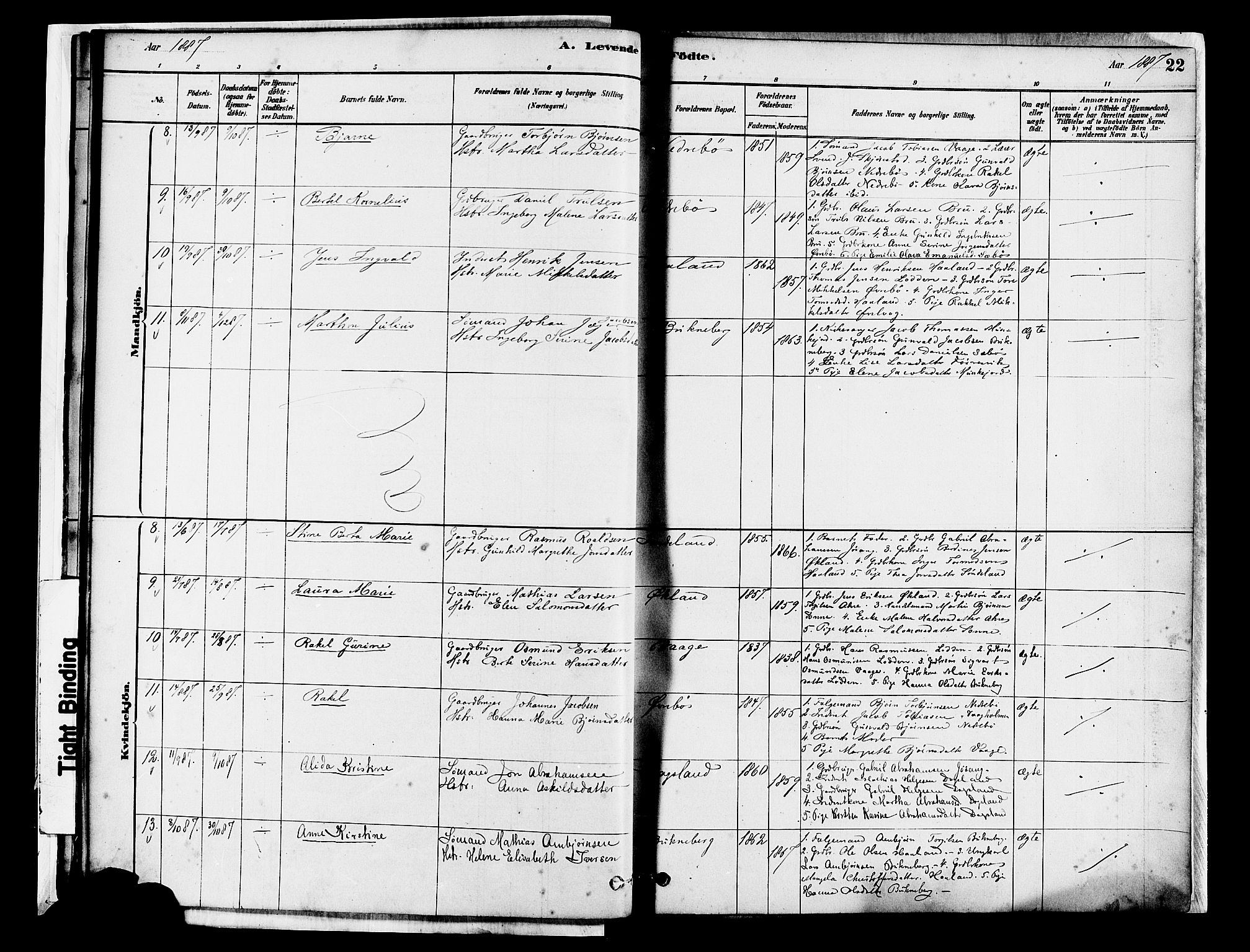 Tysvær sokneprestkontor, AV/SAST-A -101864/H/Ha/Haa/L0007: Parish register (official) no. A 7, 1878-1897, p. 22