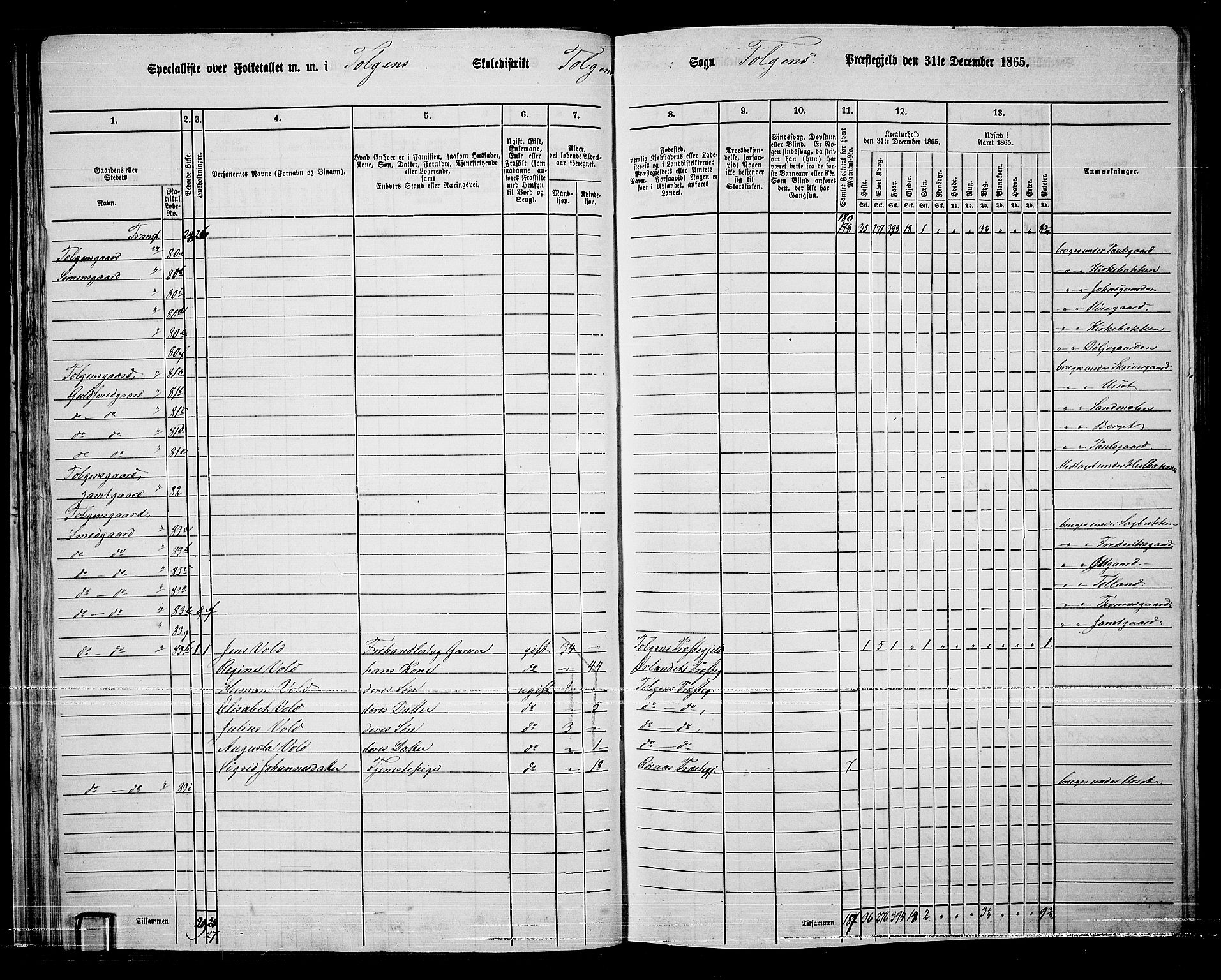 RA, 1865 census for Tolga, 1865, p. 43