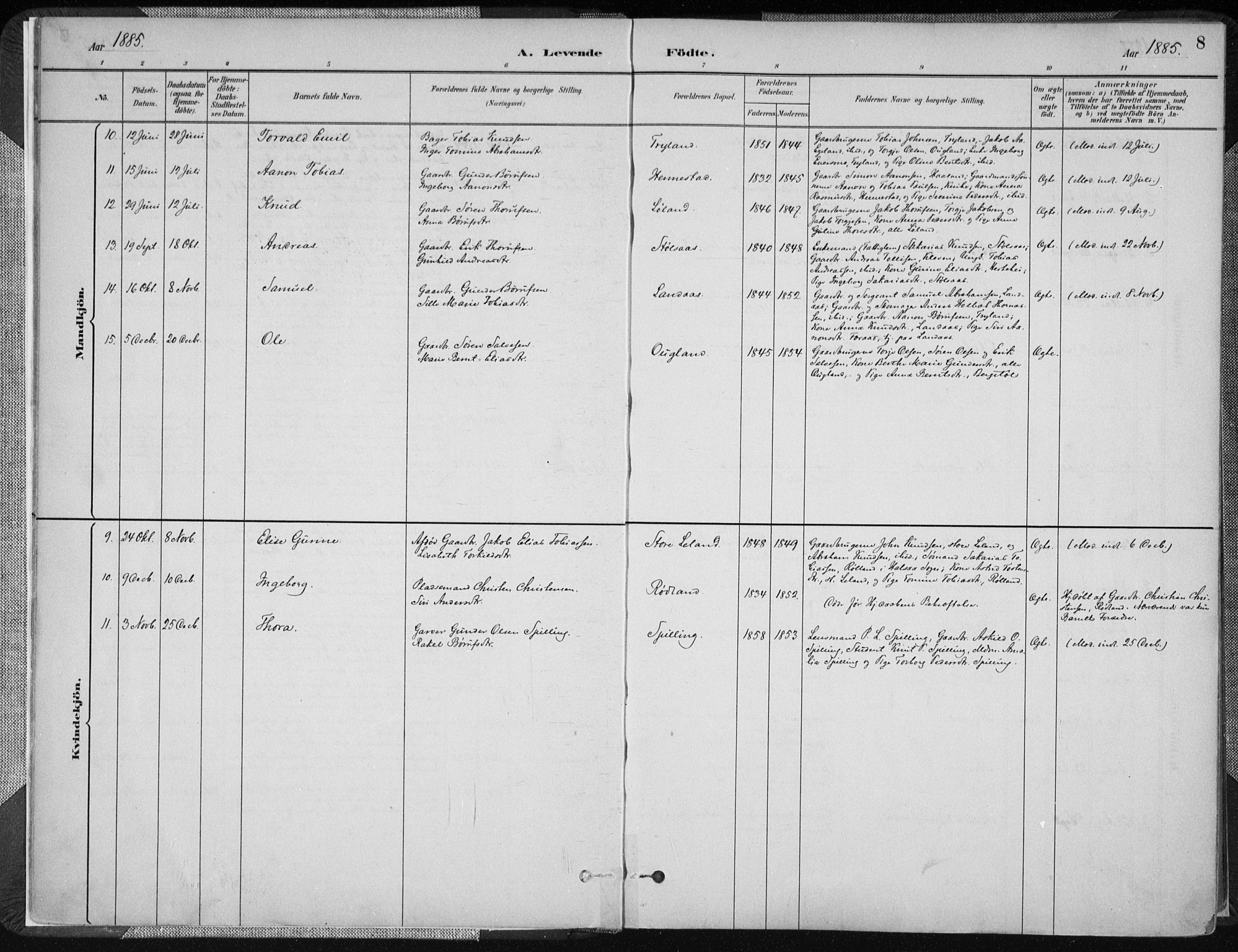 Nord-Audnedal sokneprestkontor, SAK/1111-0032/F/Fa/Fab/L0003: Parish register (official) no. A 3, 1882-1900, p. 8