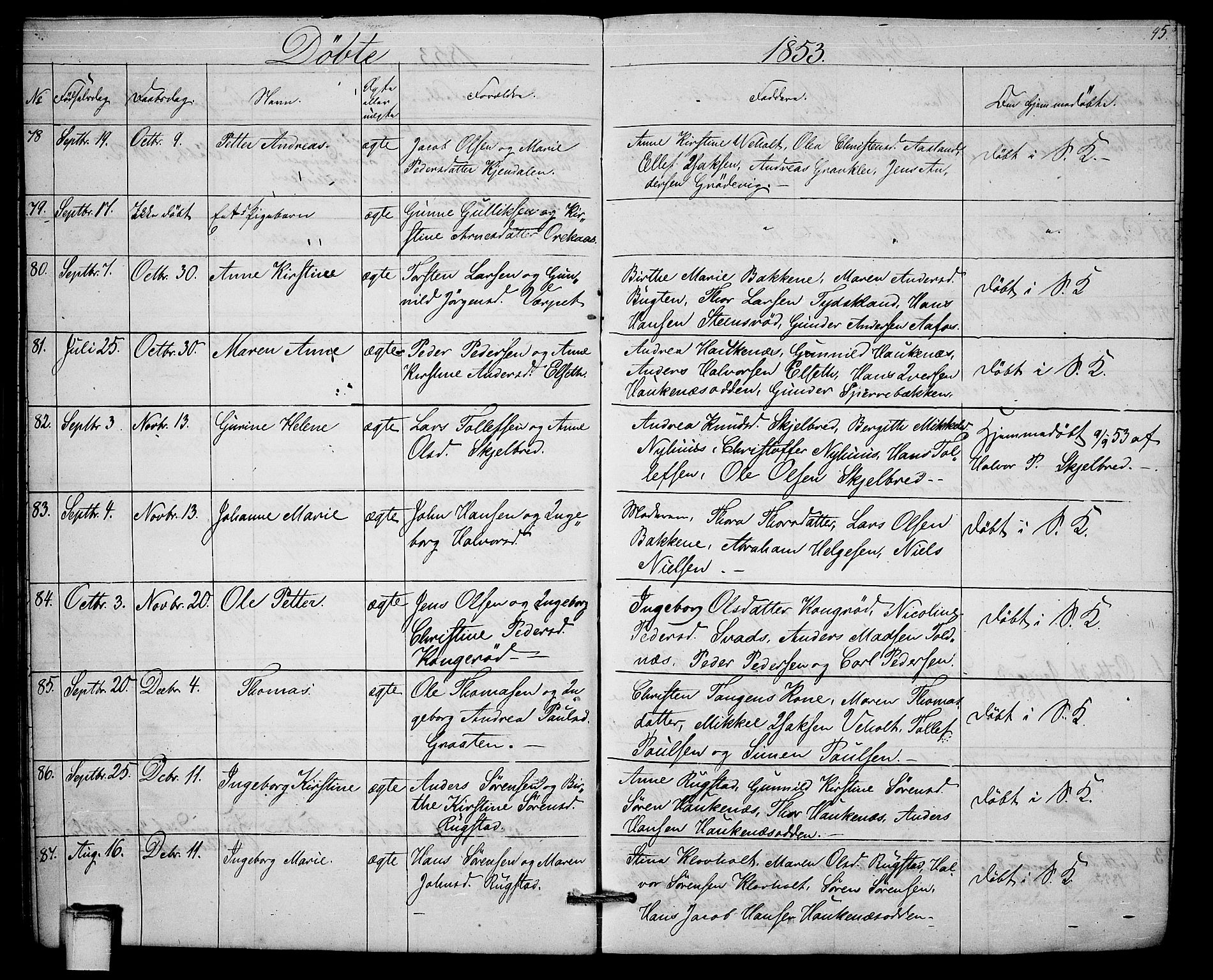 Solum kirkebøker, SAKO/A-306/G/Ga/L0003: Parish register (copy) no. I 3, 1848-1859, p. 45