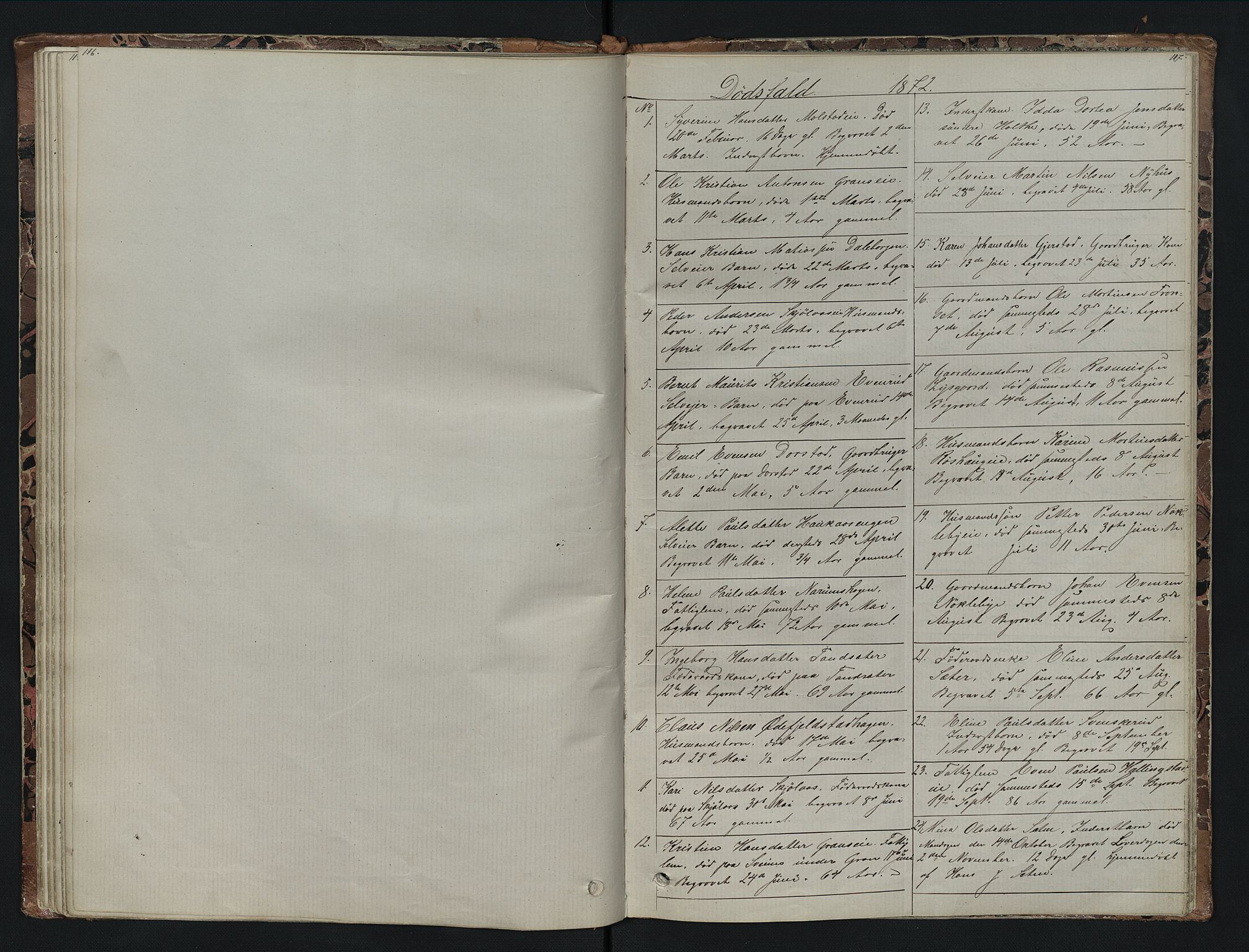 Vestre Toten prestekontor, SAH/PREST-108/H/Ha/Hab/L0007: Parish register (copy) no. 7, 1872-1900, p. 116-117