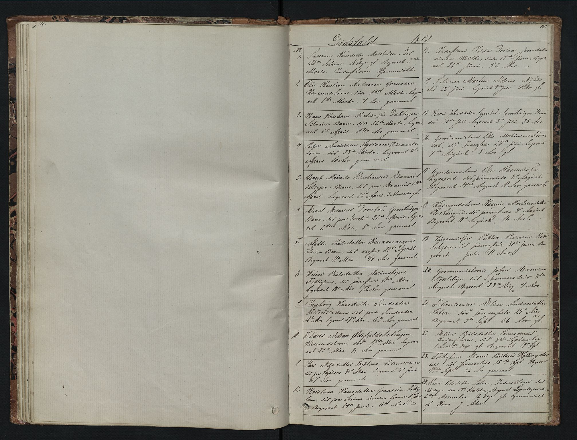 Vestre Toten prestekontor, AV/SAH-PREST-108/H/Ha/Hab/L0007: Parish register (copy) no. 7, 1872-1900, p. 116-117