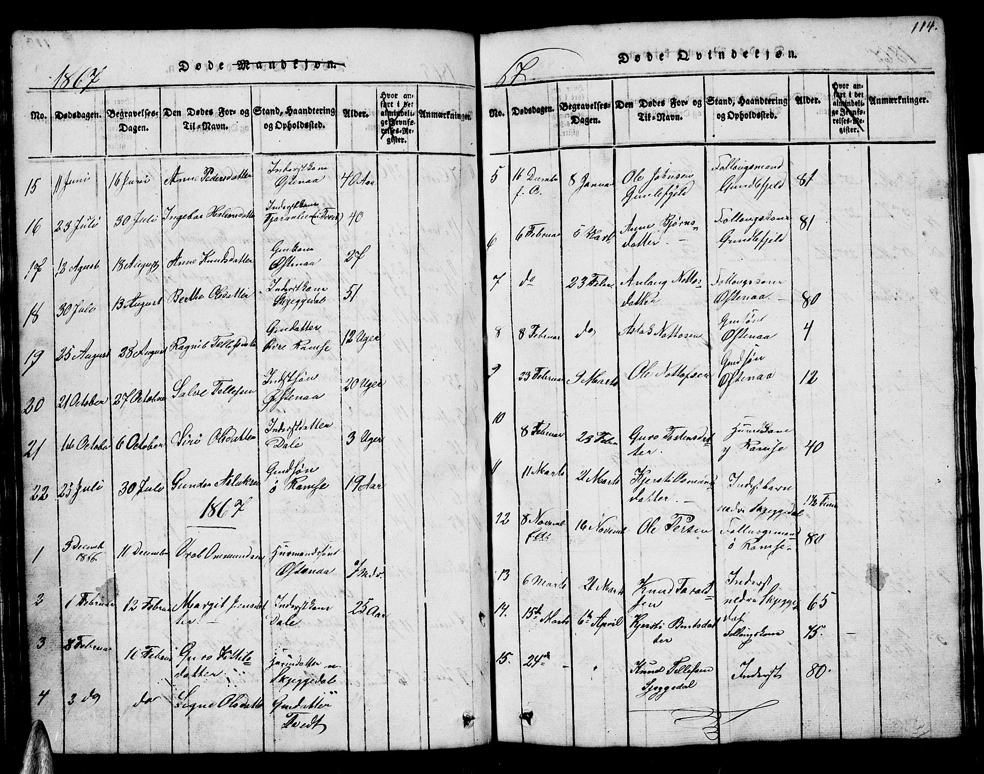 Åmli sokneprestkontor, AV/SAK-1111-0050/F/Fb/Fbb/L0001: Parish register (copy) no. B 1, 1816-1889, p. 114