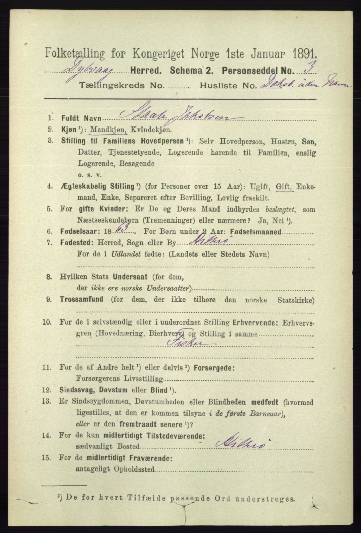 RA, 1891 census for 0915 Dypvåg, 1891, p. 6989