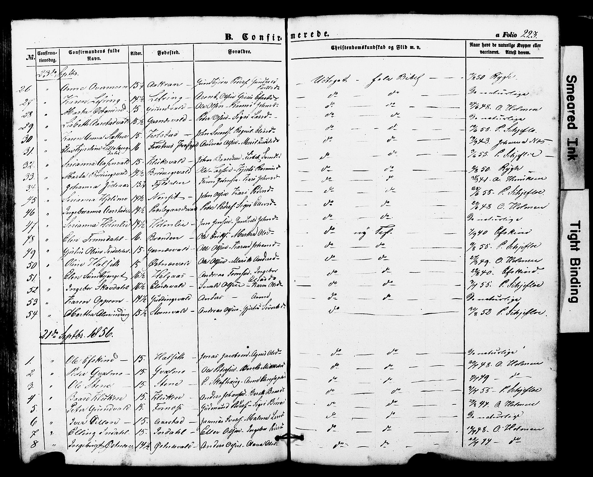Ministerialprotokoller, klokkerbøker og fødselsregistre - Nord-Trøndelag, SAT/A-1458/724/L0268: Parish register (copy) no. 724C04, 1846-1878, p. 223