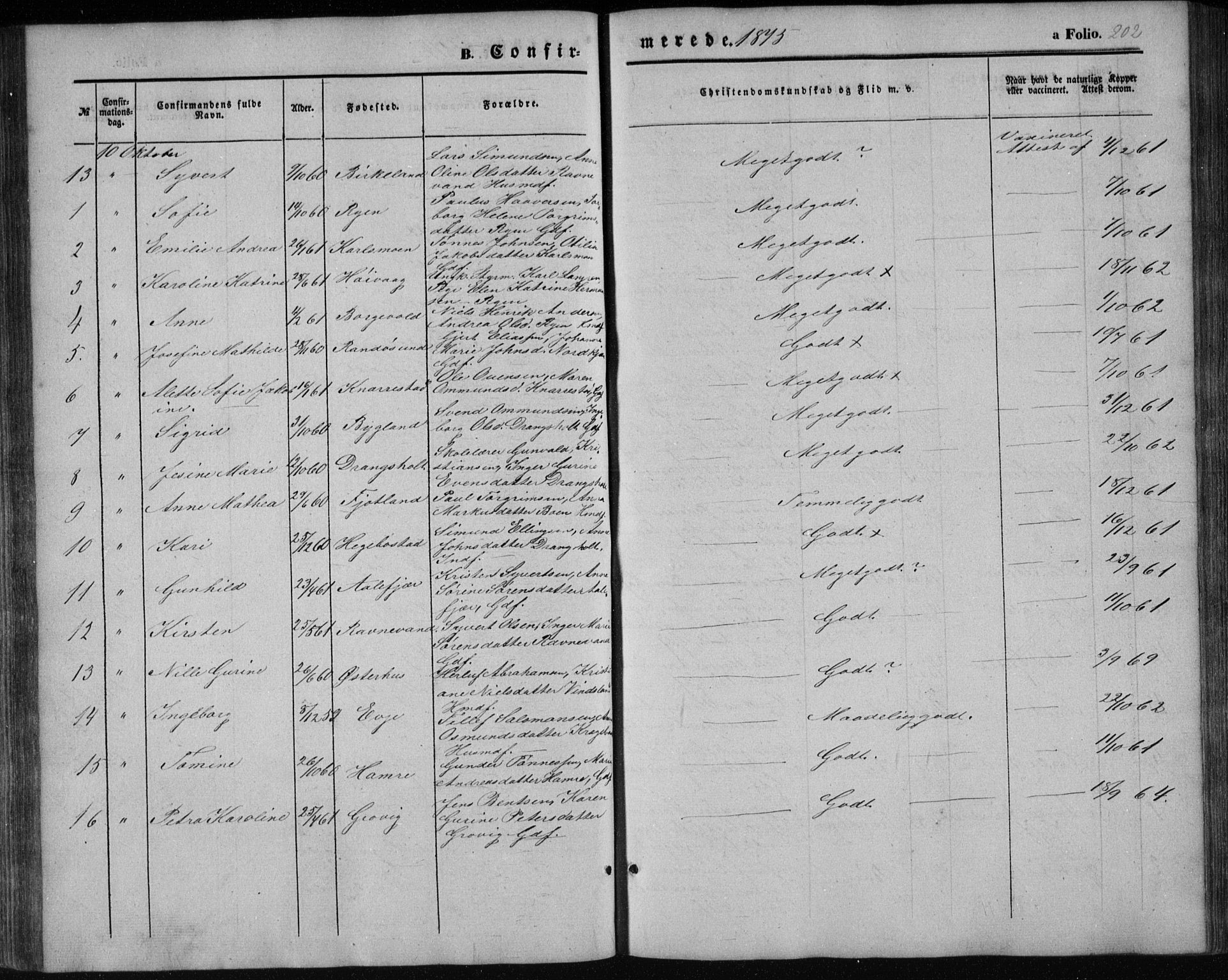 Tveit sokneprestkontor, AV/SAK-1111-0043/F/Fb/L0003: Parish register (copy) no. B 3, 1854-1886, p. 202