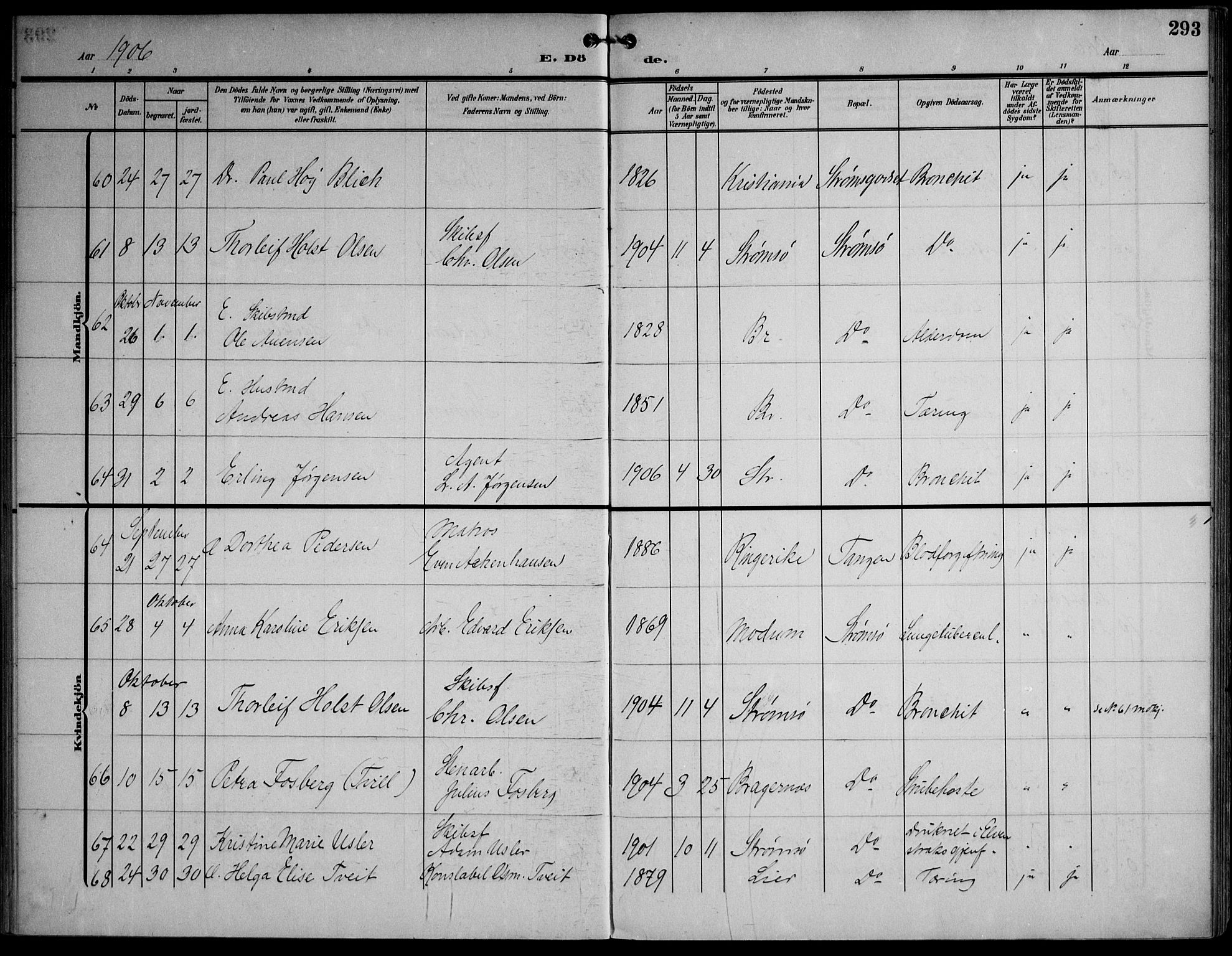 Strømsø kirkebøker, AV/SAKO-A-246/F/Fa/L0026: Parish register (official) no. I 26, 1905-1914, p. 293