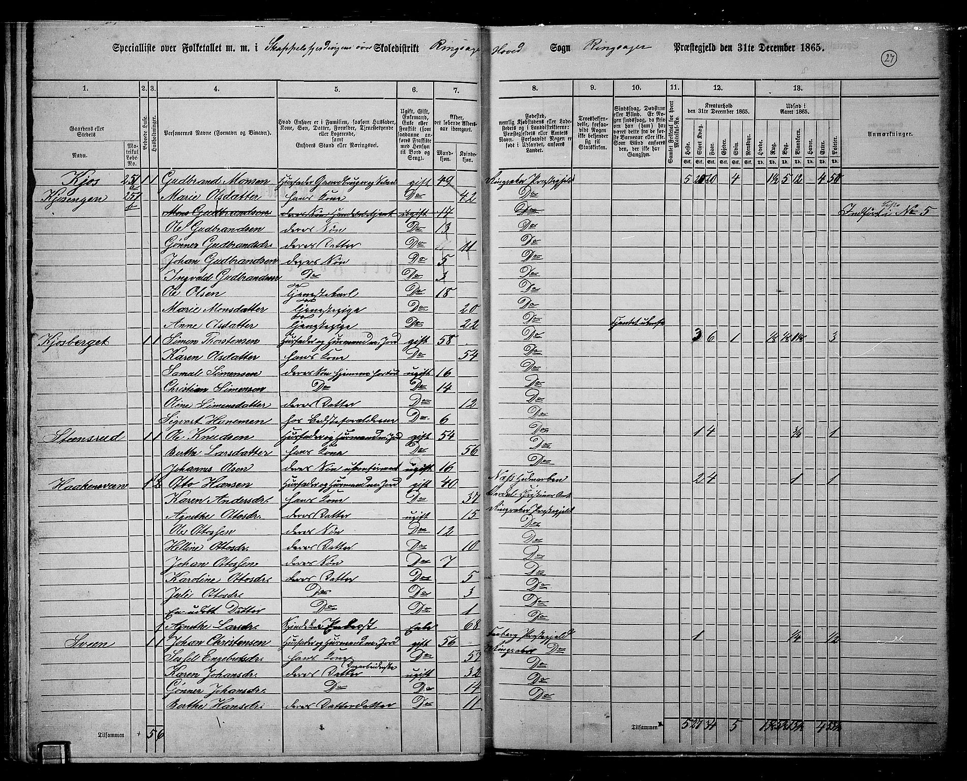 RA, 1865 census for Ringsaker, 1865, p. 284