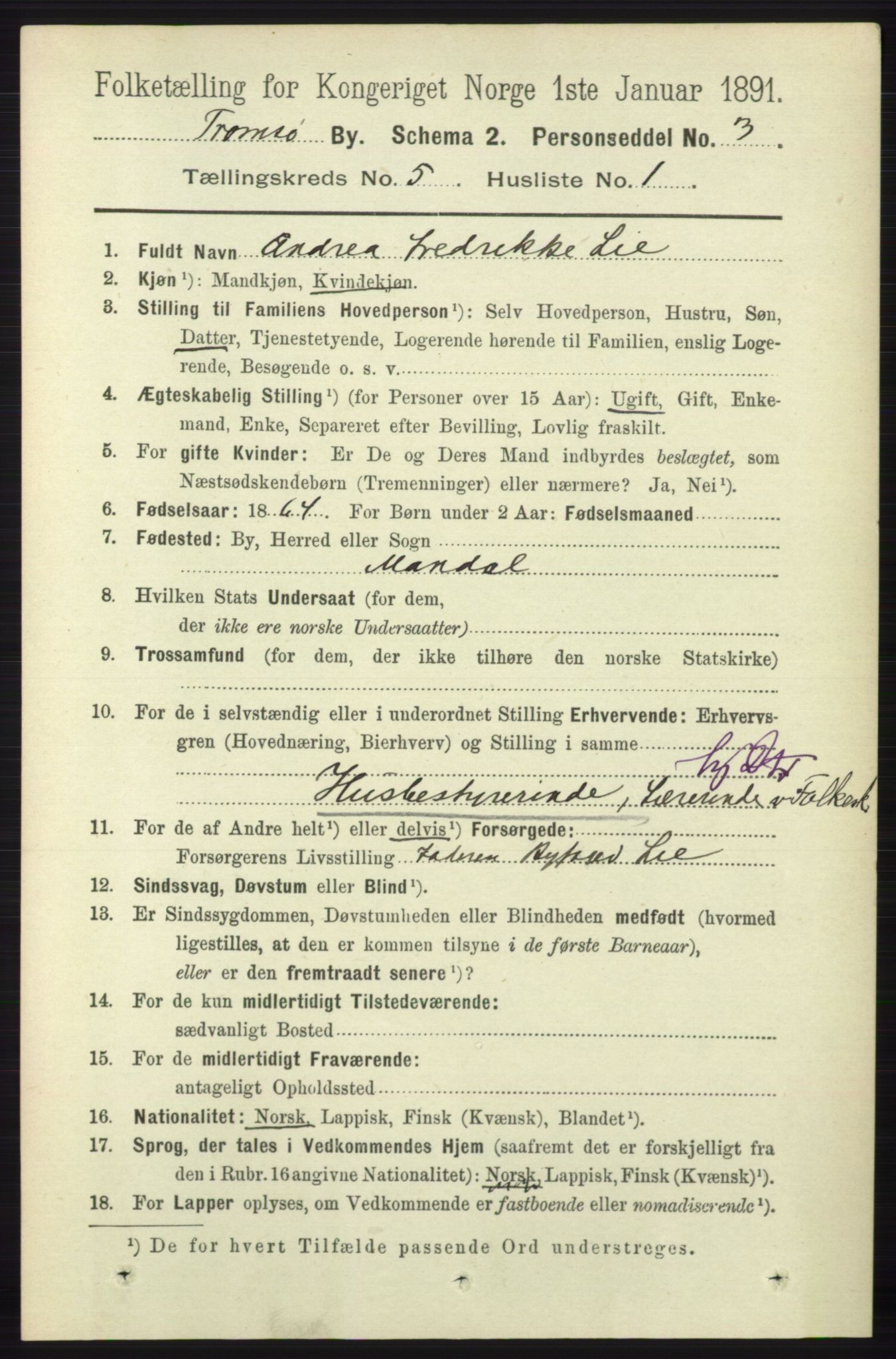 RA, 1891 census for 1902 Tromsø, 1891, p. 4853