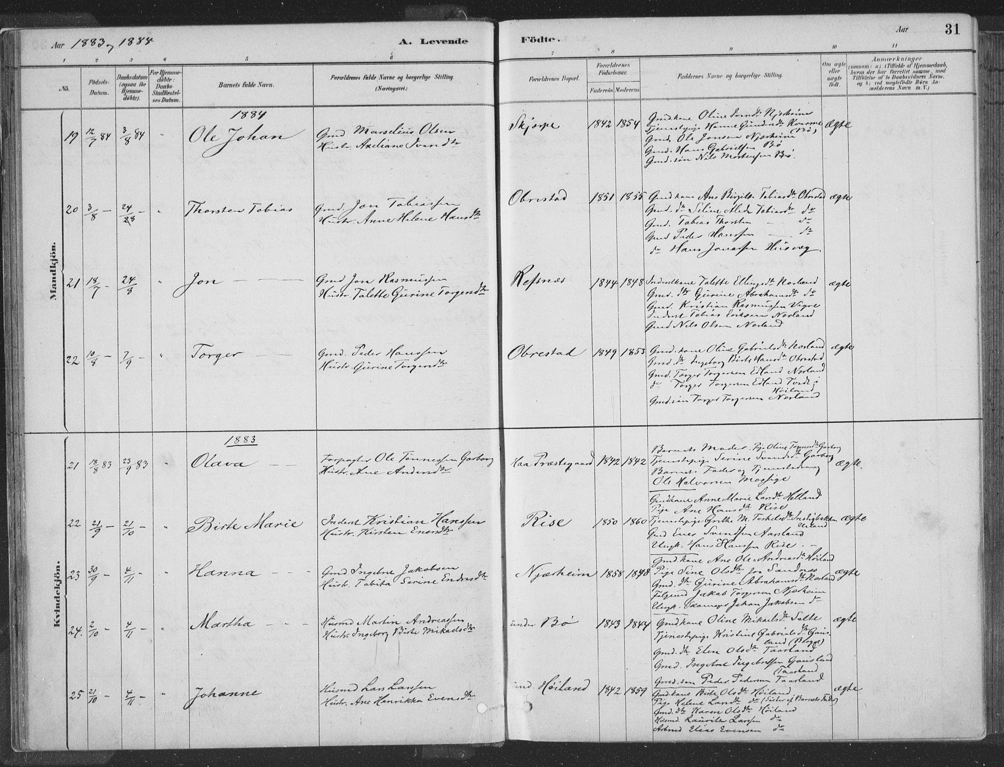 Hå sokneprestkontor, SAST/A-101801/001/30BA/L0010: Parish register (official) no. A 9, 1879-1896, p. 31