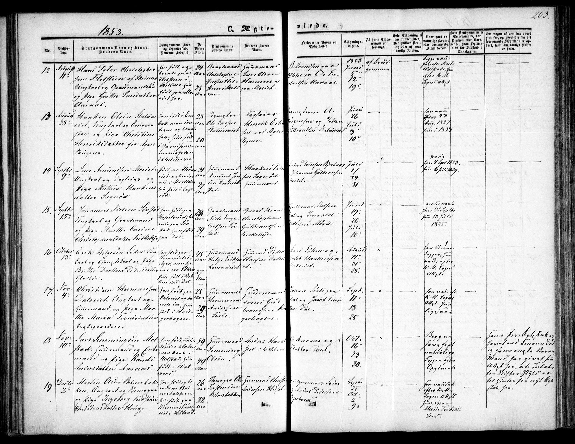 Nittedal prestekontor Kirkebøker, AV/SAO-A-10365a/F/Fa/L0005: Parish register (official) no. I 5, 1850-1862, p. 203
