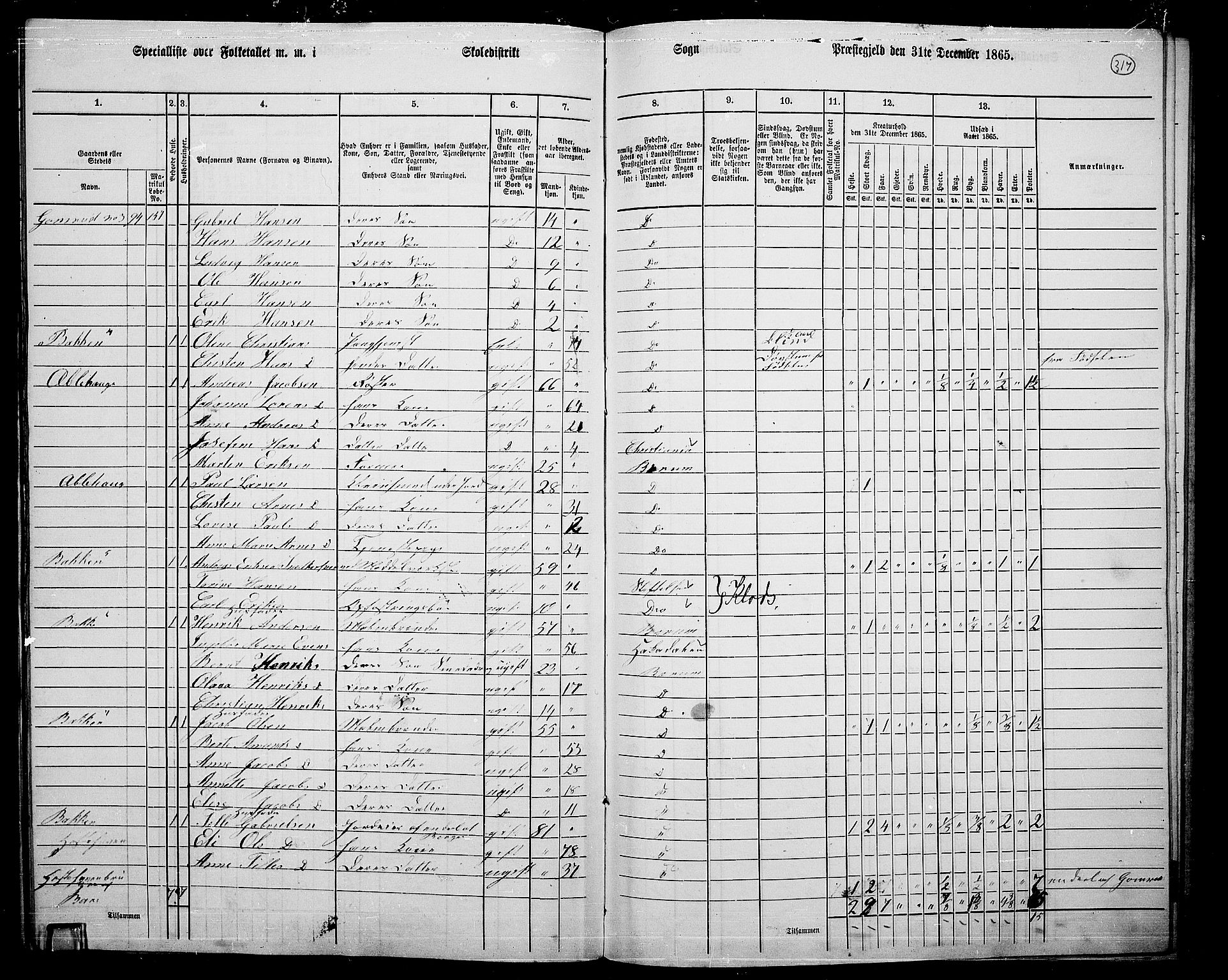 RA, 1865 census for Asker, 1865, p. 306