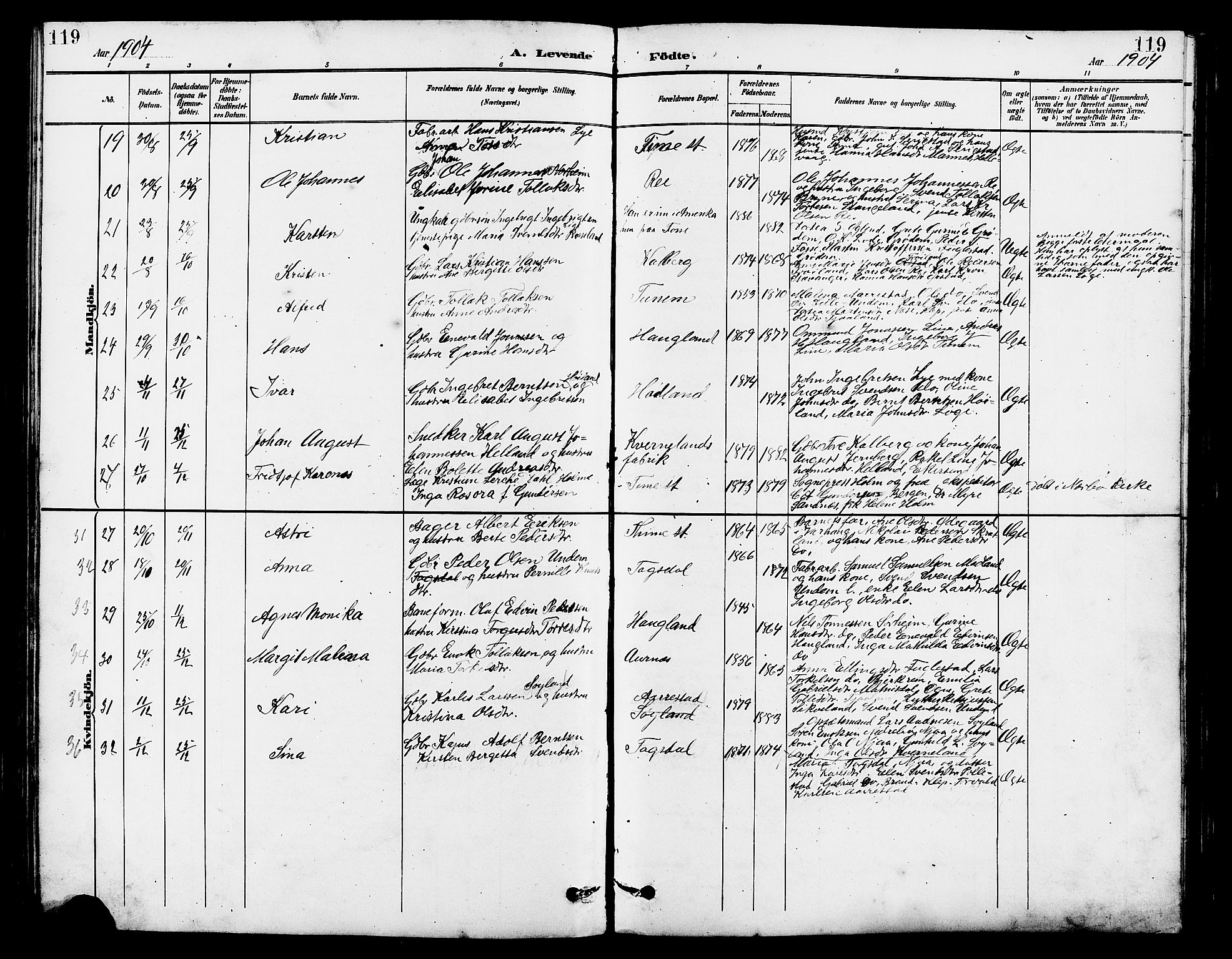 Lye sokneprestkontor, AV/SAST-A-101794/001/30BB/L0007: Parish register (copy) no. B 8, 1889-1909, p. 119