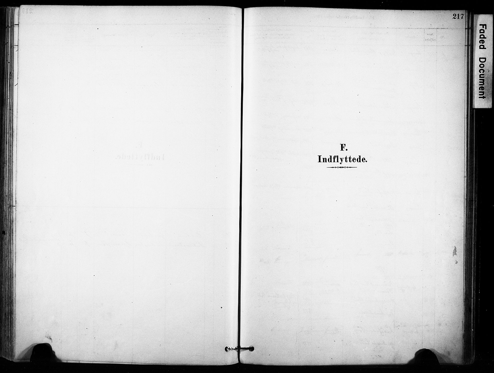 Brunlanes kirkebøker, AV/SAKO-A-342/F/Fb/L0001: Parish register (official) no. II 1, 1878-1899, p. 217