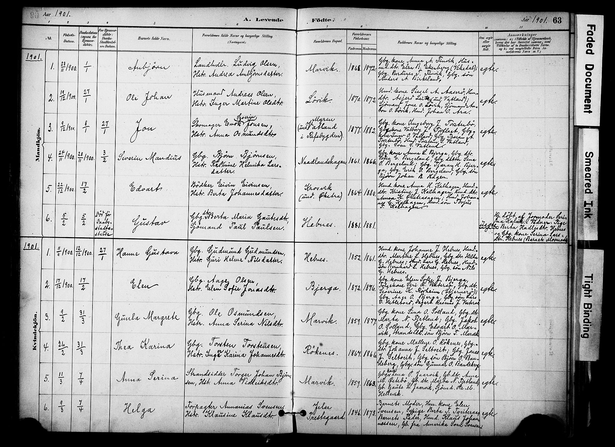 Jelsa sokneprestkontor, SAST/A-101842/01/IV: Parish register (official) no. A 10, 1884-1906, p. 63