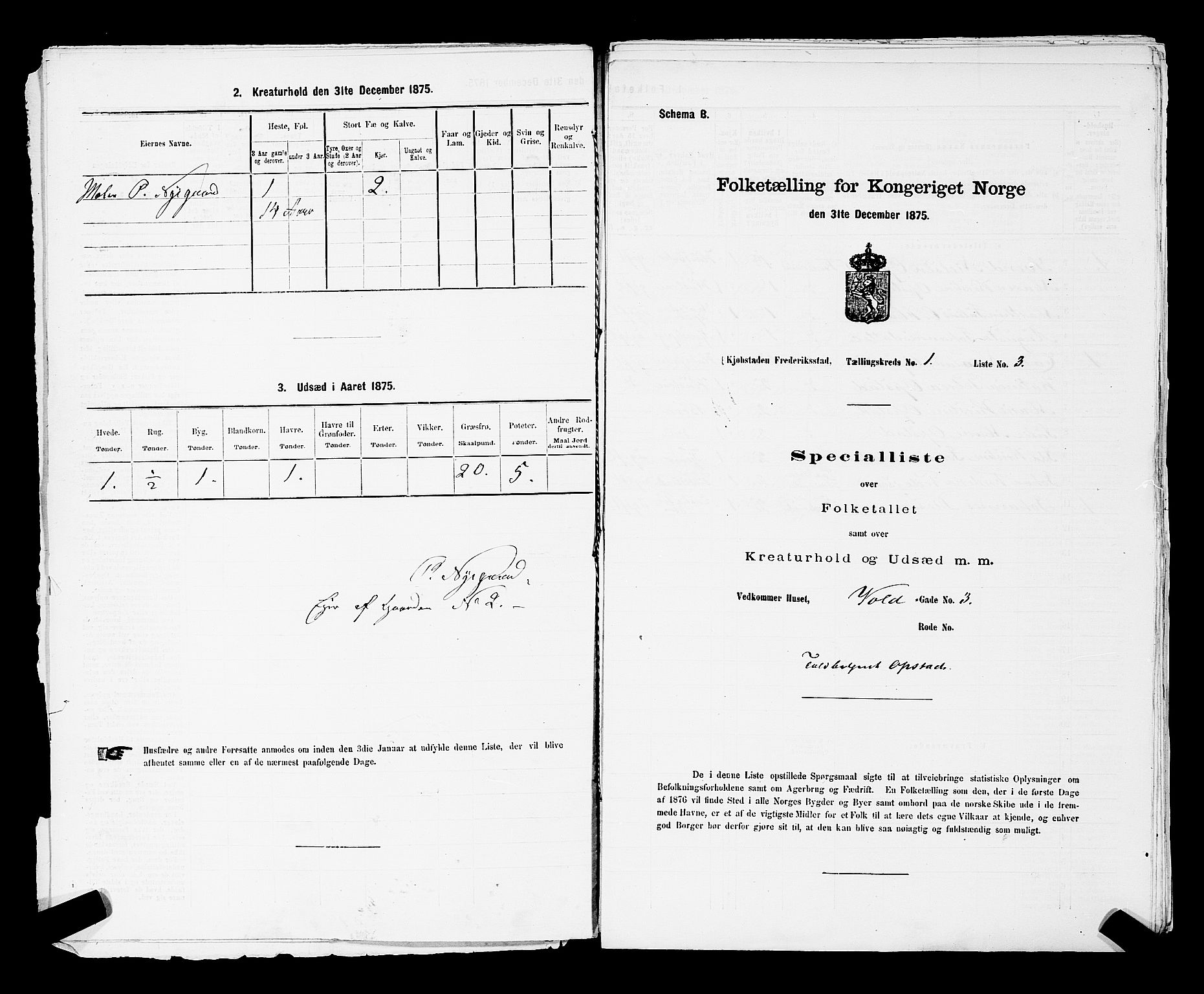 RA, 1875 census for 0103B Fredrikstad/Fredrikstad, 1875, p. 21