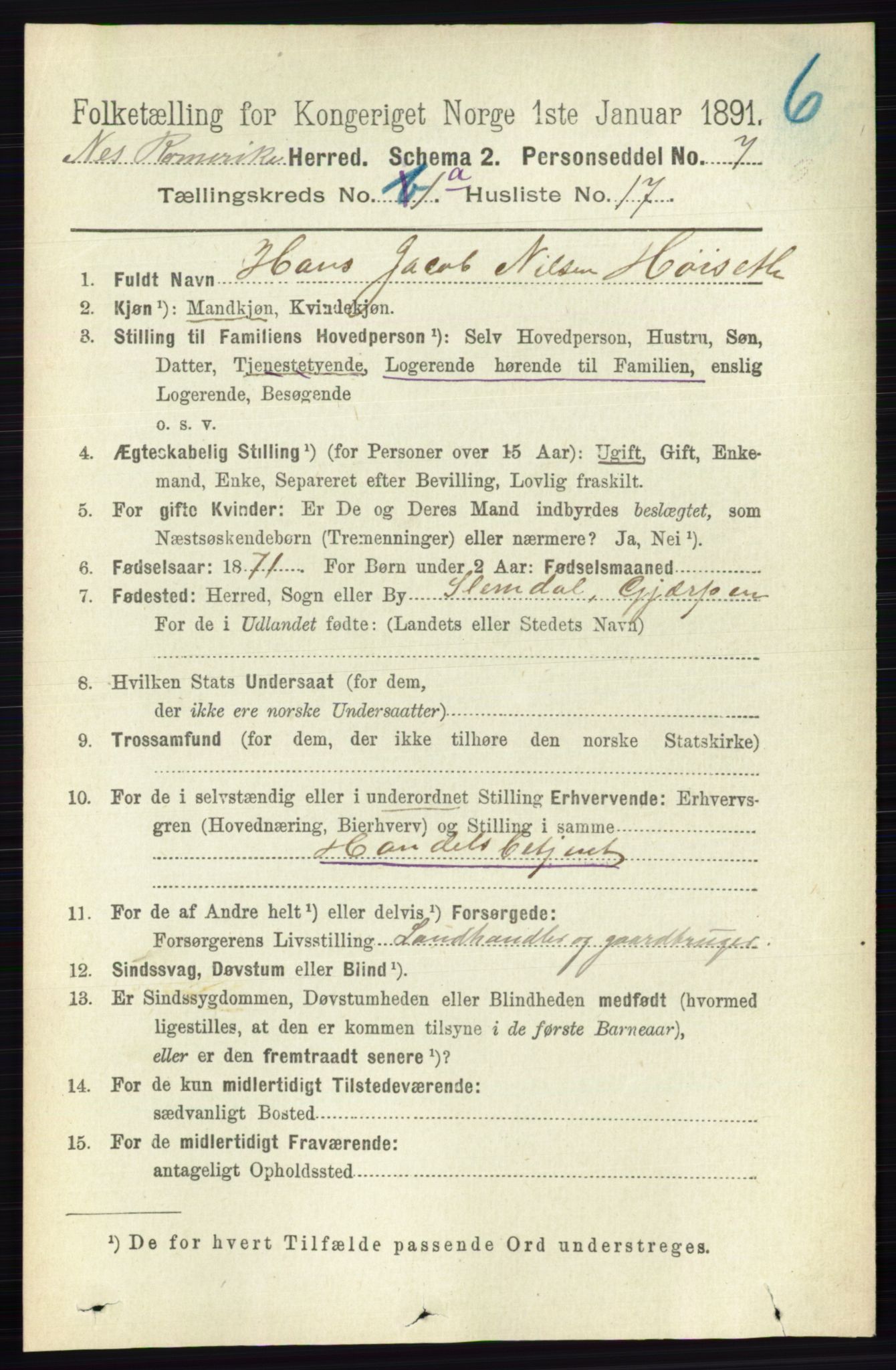 RA, 1891 census for 0236 Nes, 1891, p. 222