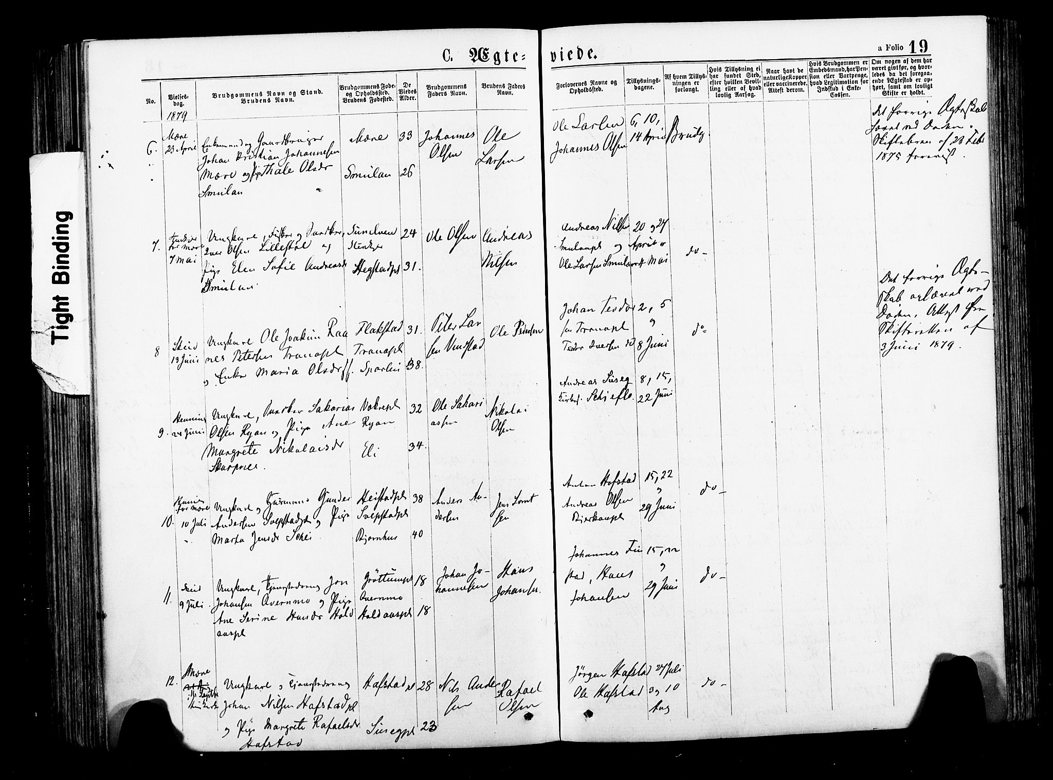 Ministerialprotokoller, klokkerbøker og fødselsregistre - Nord-Trøndelag, AV/SAT-A-1458/735/L0348: Parish register (official) no. 735A09 /1, 1873-1883, p. 19