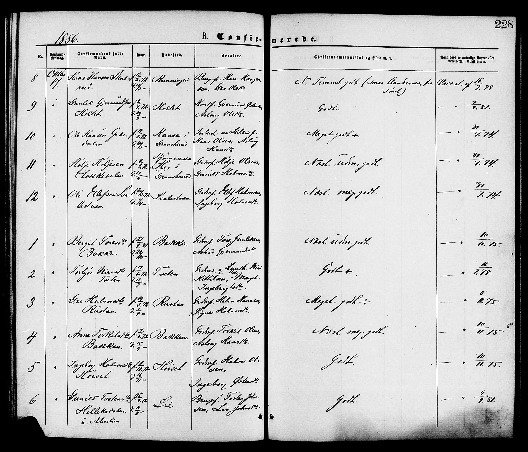 Gransherad kirkebøker, AV/SAKO-A-267/F/Fa/L0004: Parish register (official) no. I 4, 1871-1886, p. 228