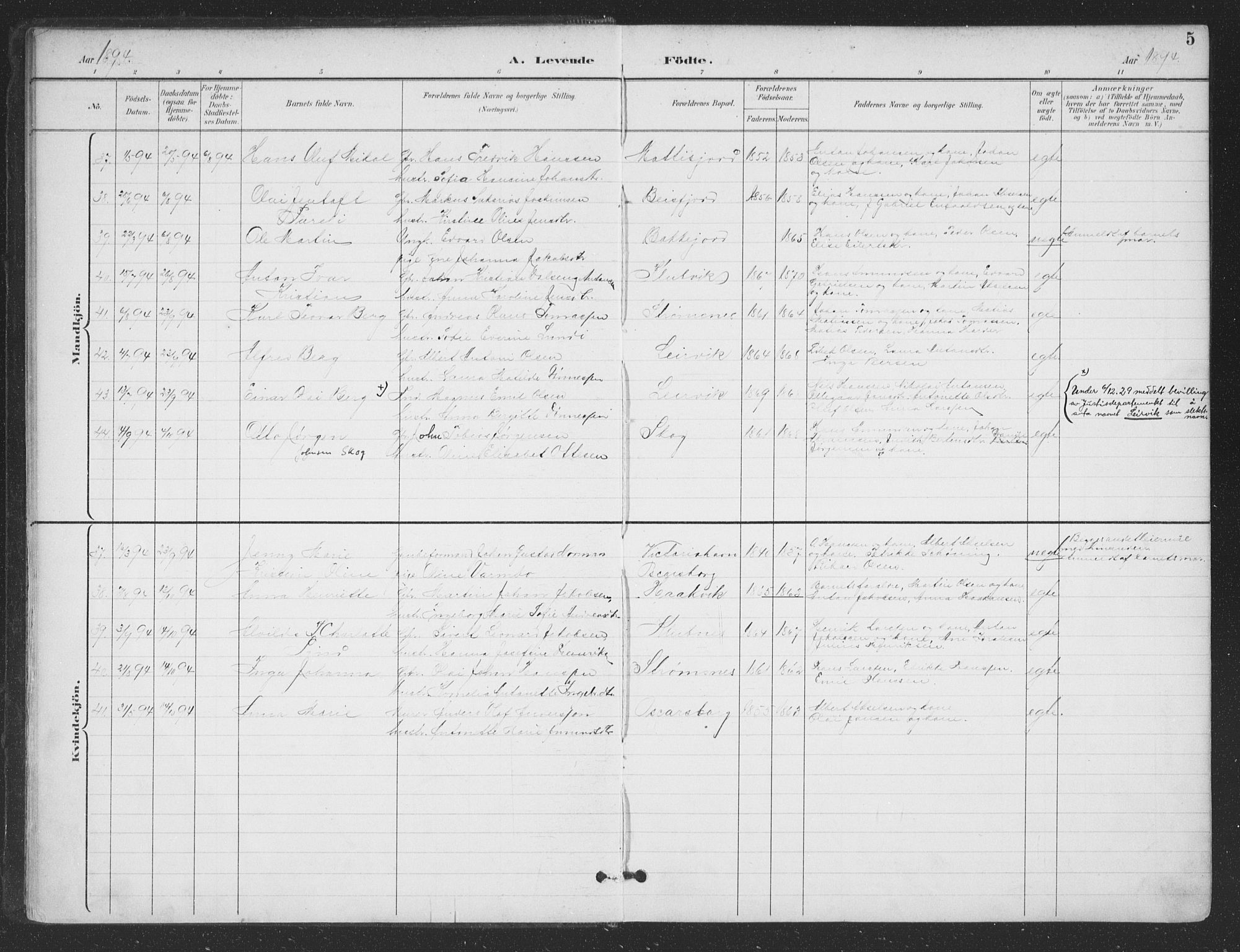 Ministerialprotokoller, klokkerbøker og fødselsregistre - Nordland, AV/SAT-A-1459/866/L0939: Parish register (official) no. 866A02, 1894-1906, p. 5