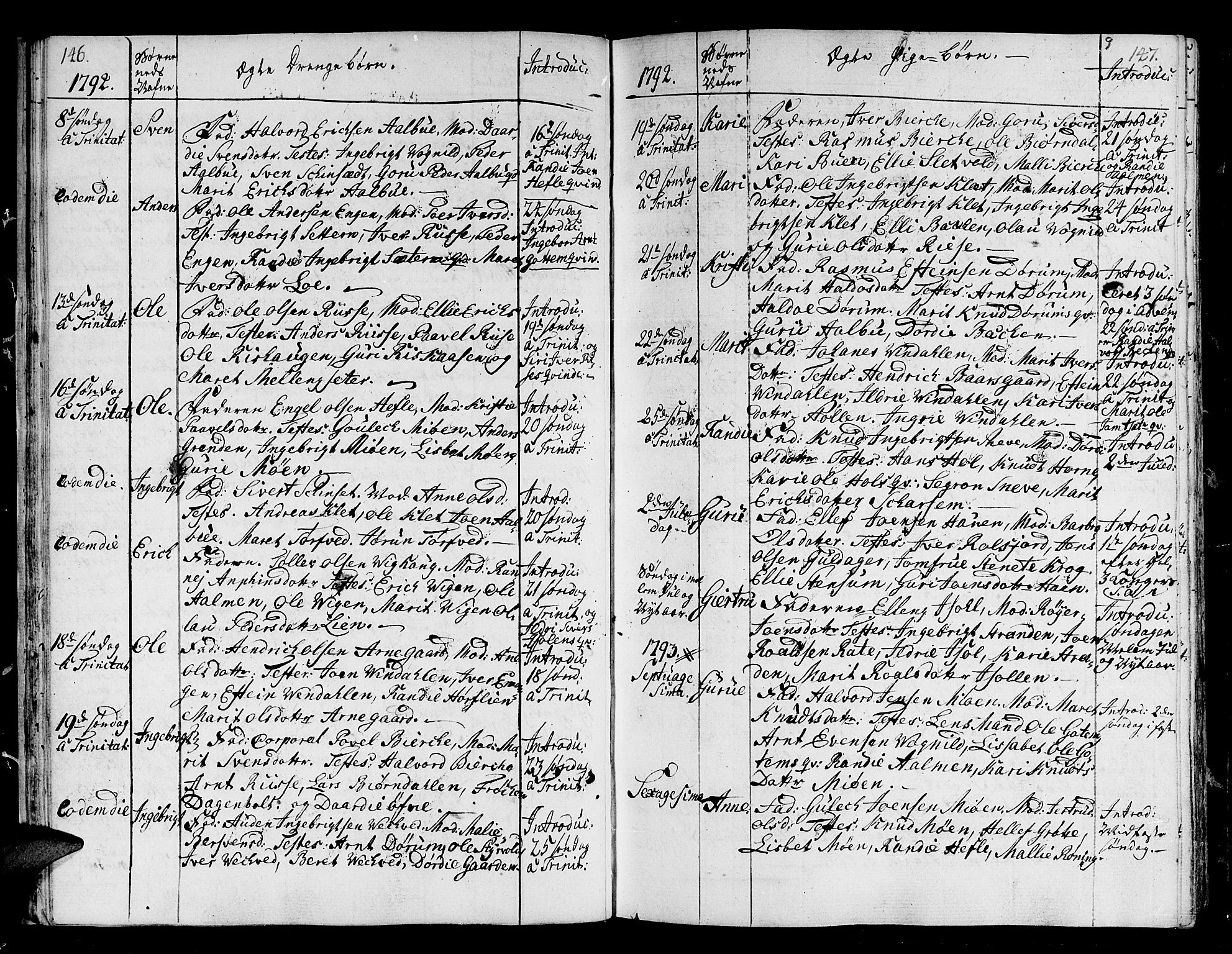 Ministerialprotokoller, klokkerbøker og fødselsregistre - Sør-Trøndelag, SAT/A-1456/678/L0893: Parish register (official) no. 678A03, 1792-1805, p. 146-147
