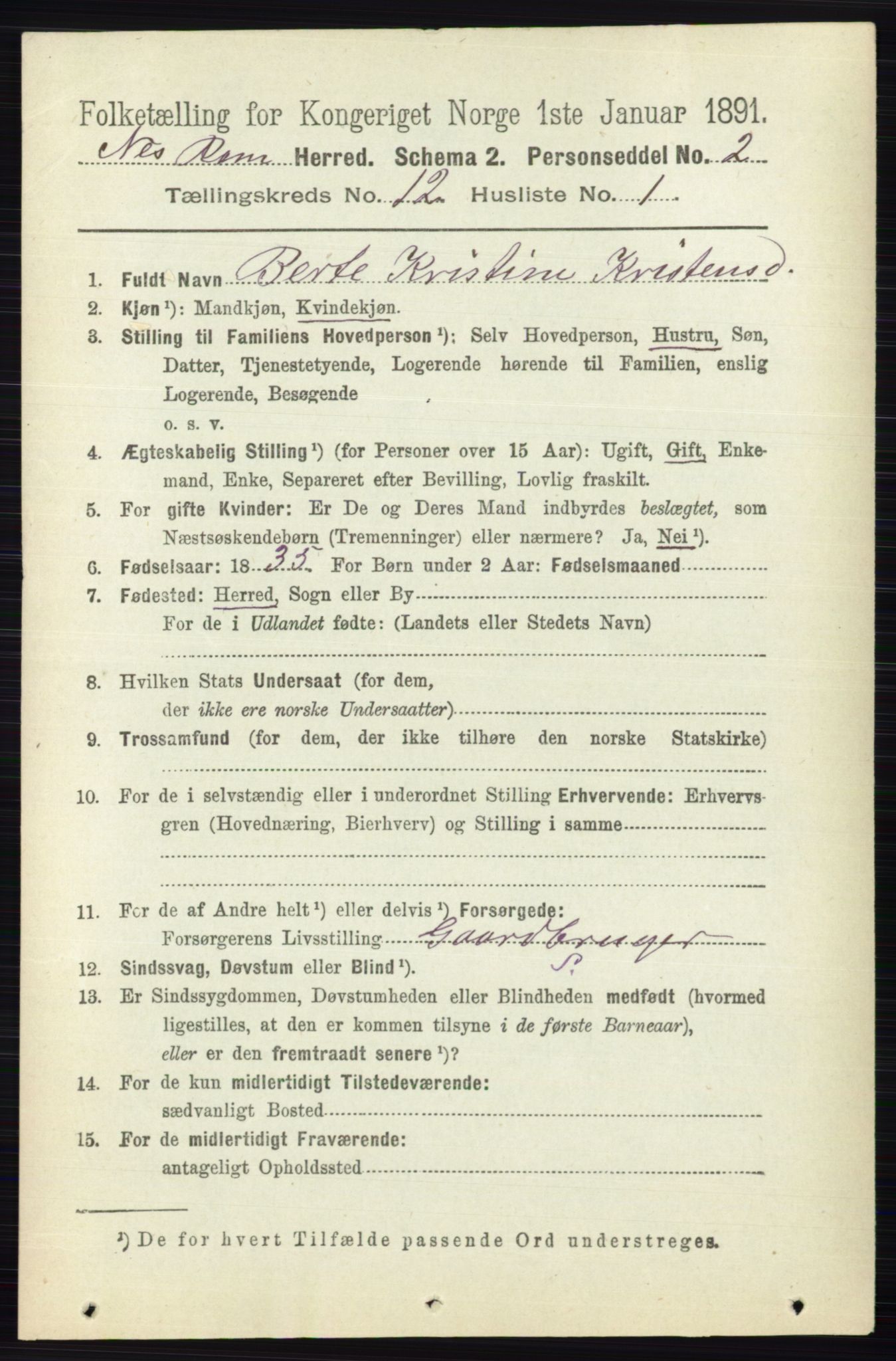 RA, 1891 census for 0236 Nes, 1891, p. 7110