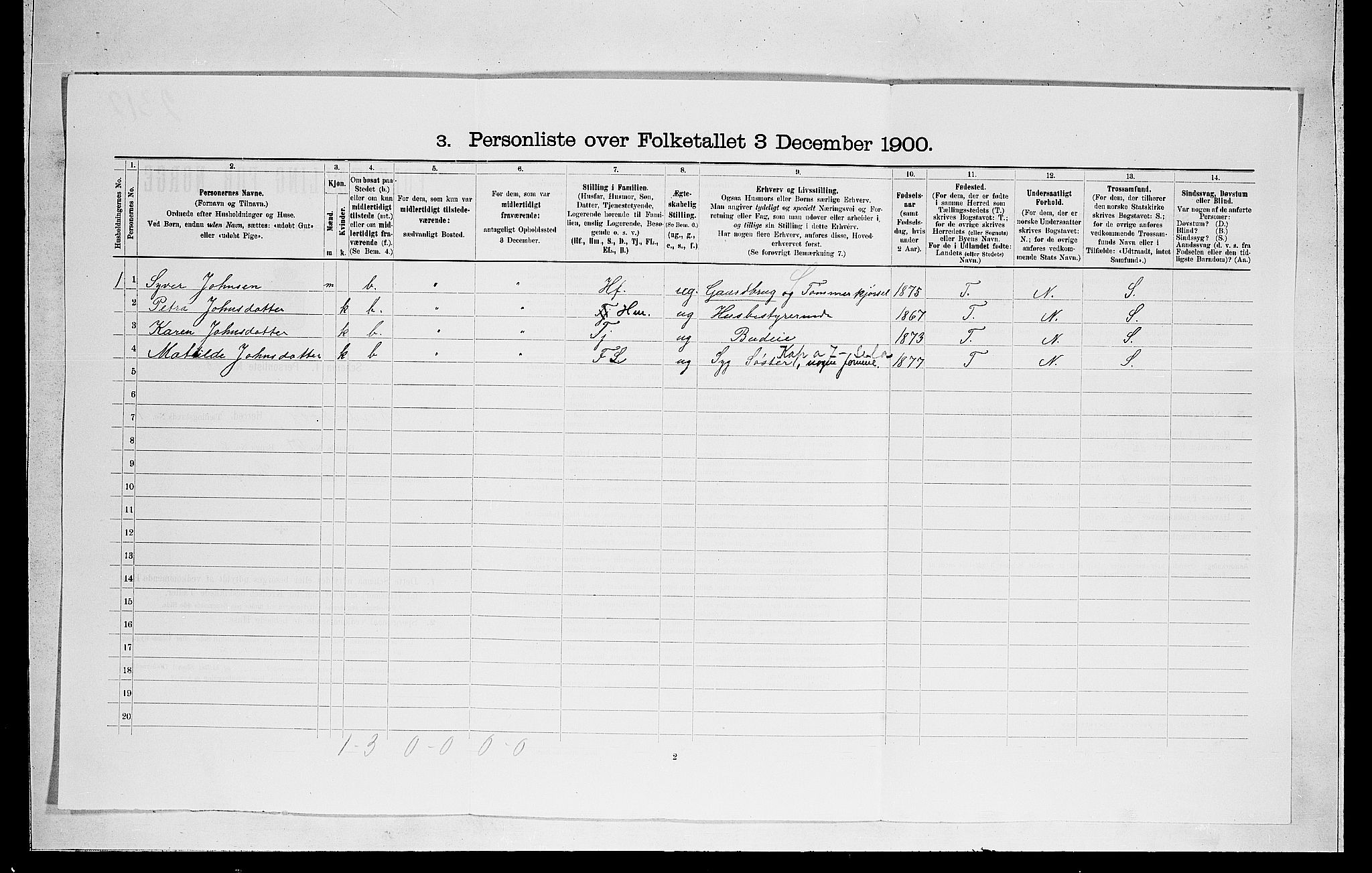 RA, 1900 census for Norderhov, 1900, p. 1593