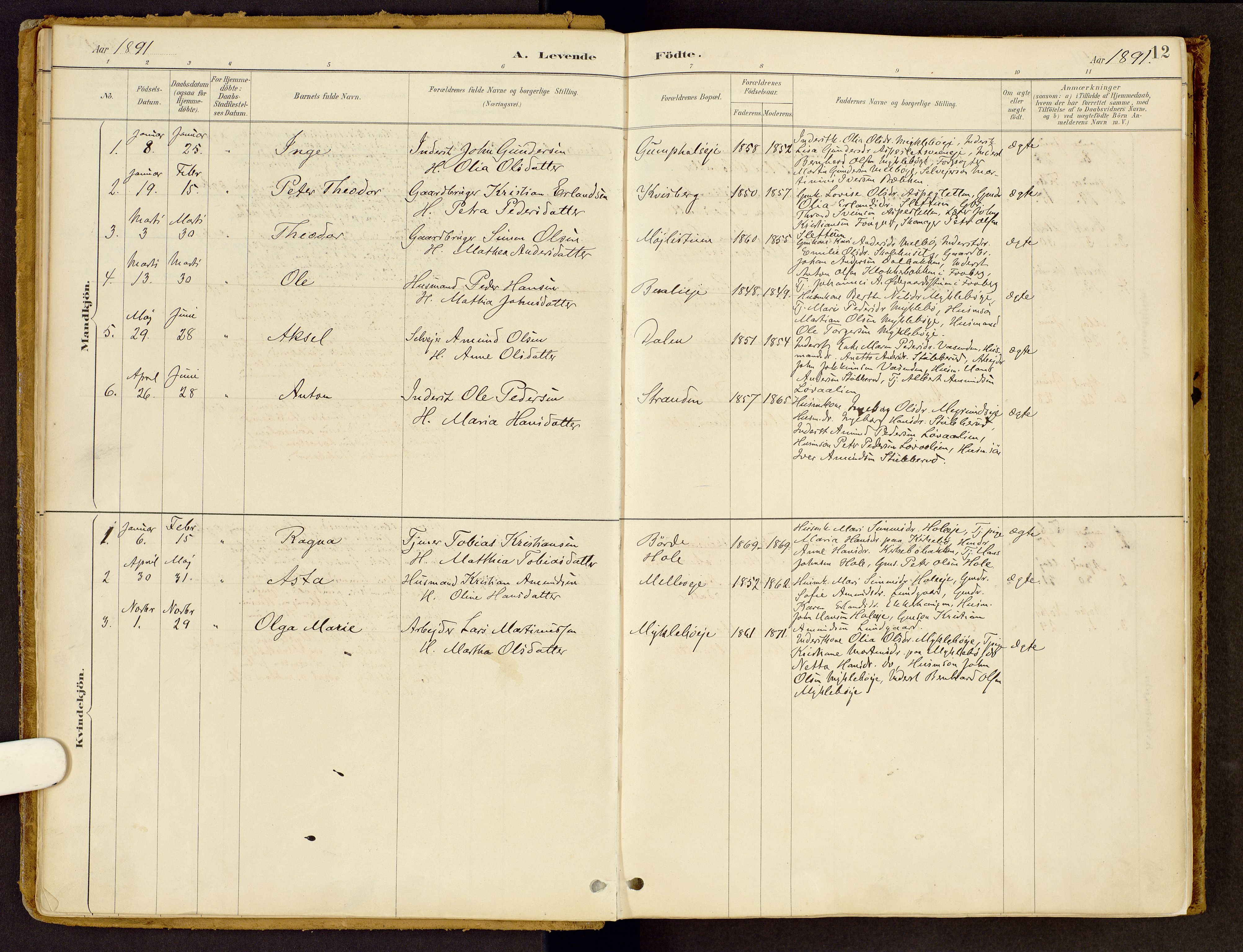 Vestre Gausdal prestekontor, SAH/PREST-094/H/Ha/Haa/L0002: Parish register (official) no. 2, 1887-1918, p. 12