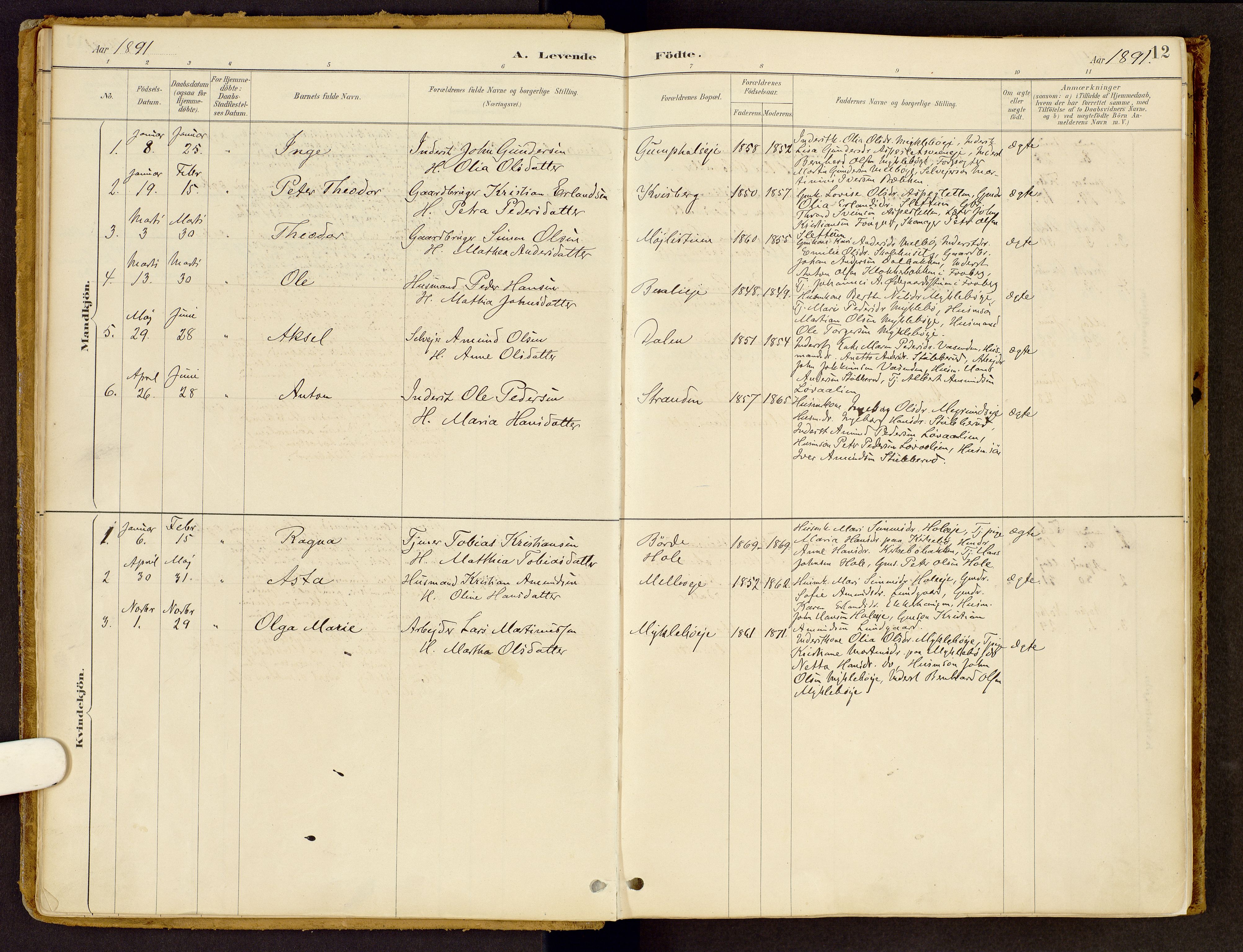 Vestre Gausdal prestekontor, AV/SAH-PREST-094/H/Ha/Haa/L0002: Parish register (official) no. 2, 1887-1918, p. 12