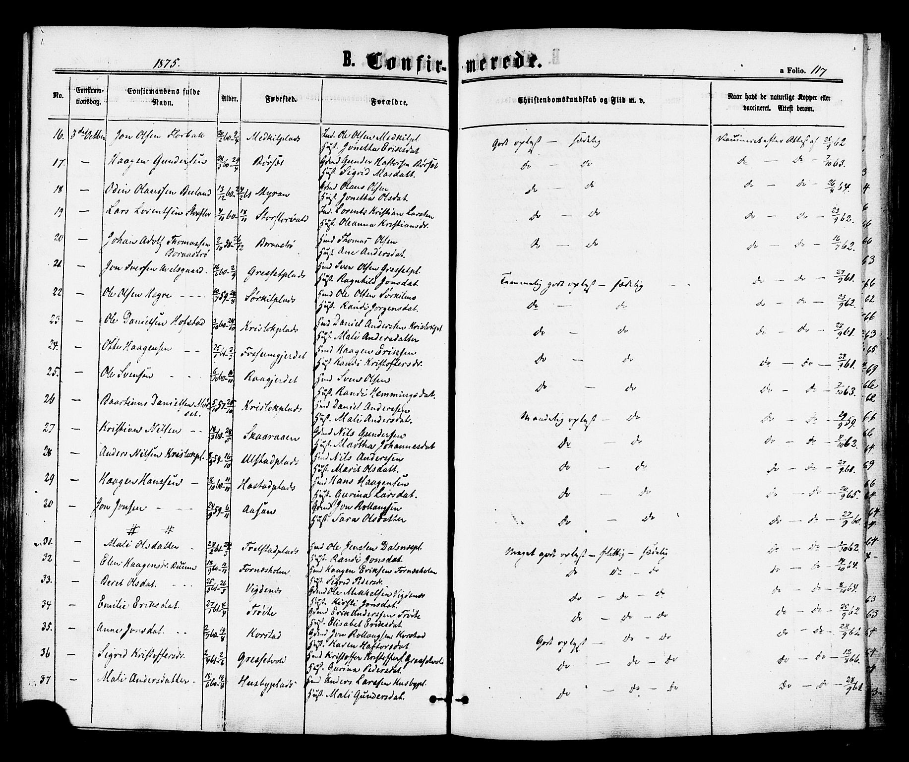 Ministerialprotokoller, klokkerbøker og fødselsregistre - Nord-Trøndelag, SAT/A-1458/703/L0029: Parish register (official) no. 703A02, 1863-1879, p. 117