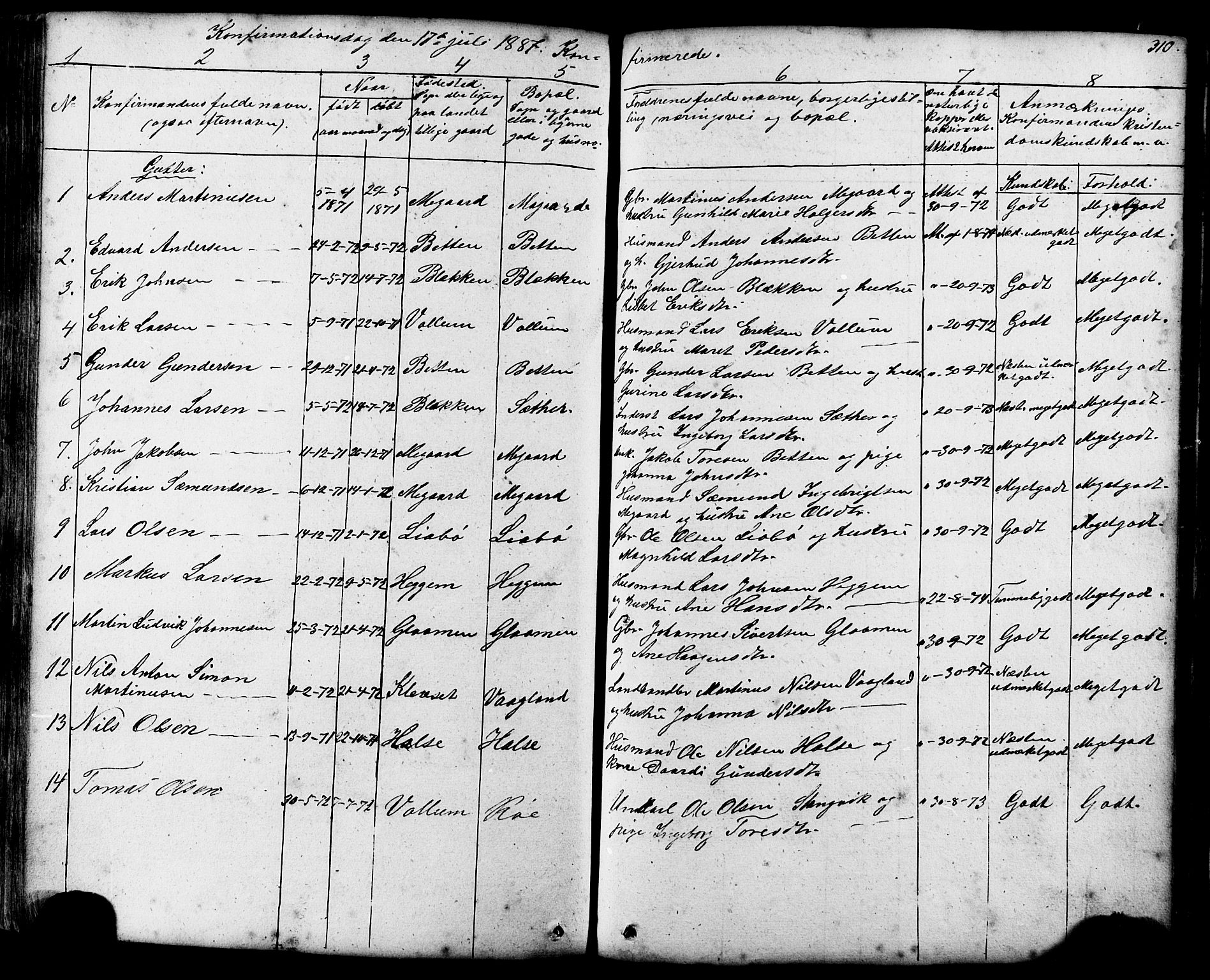 Ministerialprotokoller, klokkerbøker og fødselsregistre - Møre og Romsdal, AV/SAT-A-1454/576/L0890: Parish register (copy) no. 576C01, 1837-1908, p. 310