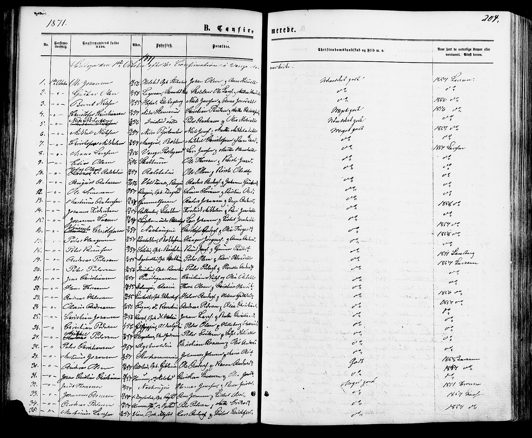Vang prestekontor, Hedmark, SAH/PREST-008/H/Ha/Haa/L0015: Parish register (official) no. 15, 1871-1885, p. 204