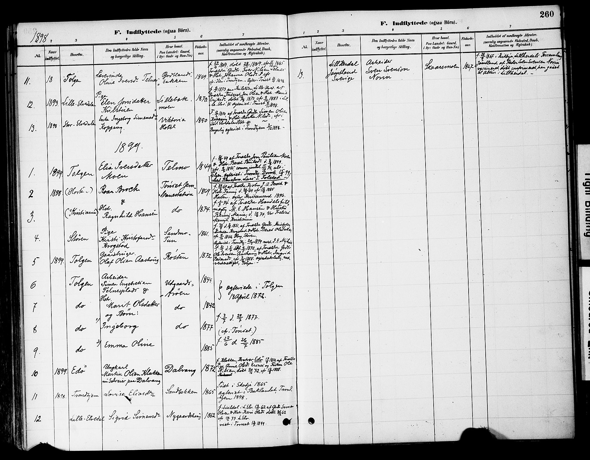Tynset prestekontor, SAH/PREST-058/H/Ha/Haa/L0022: Parish register (official) no. 22, 1880-1899, p. 260
