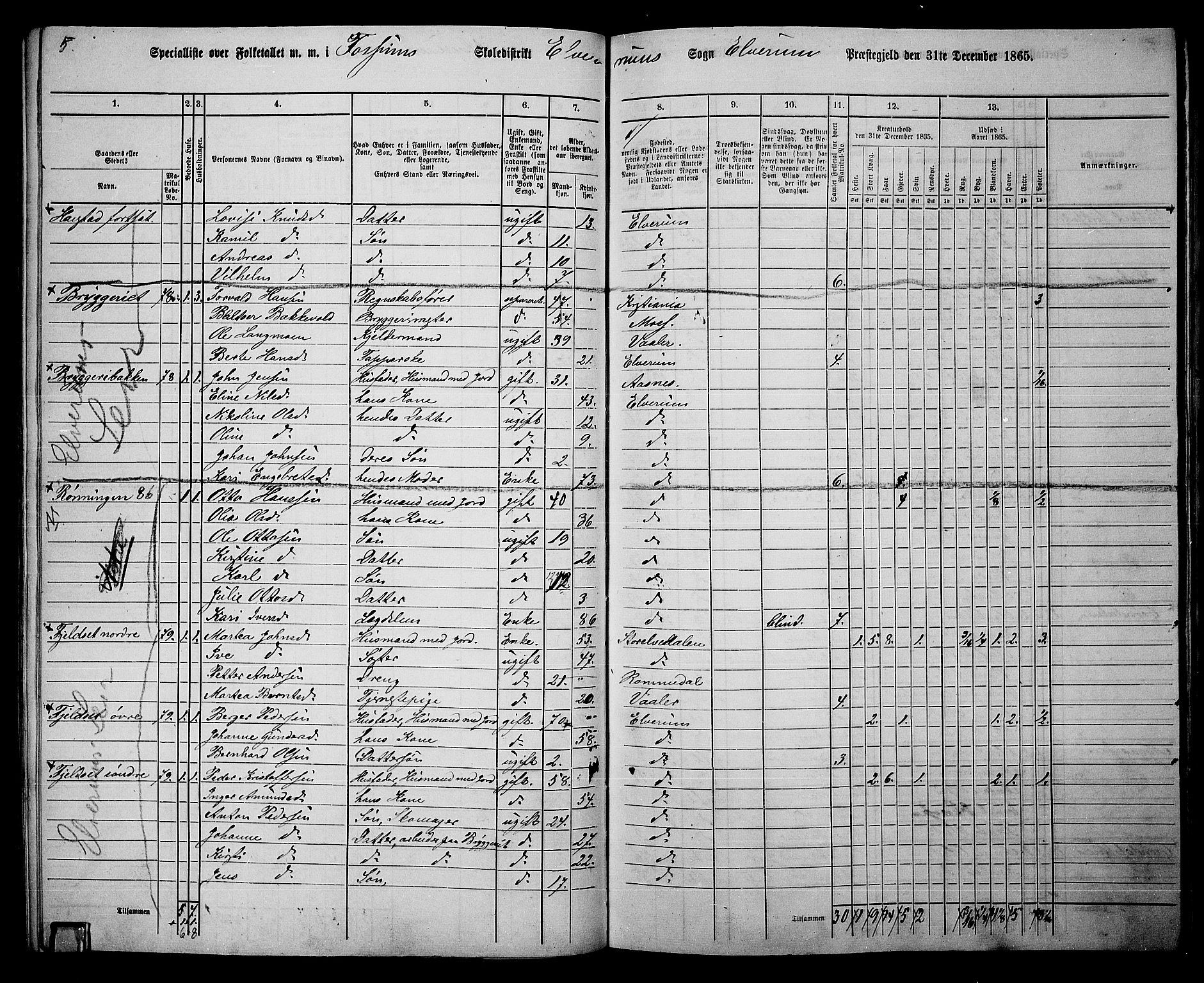 RA, 1865 census for Elverum, 1865, p. 91