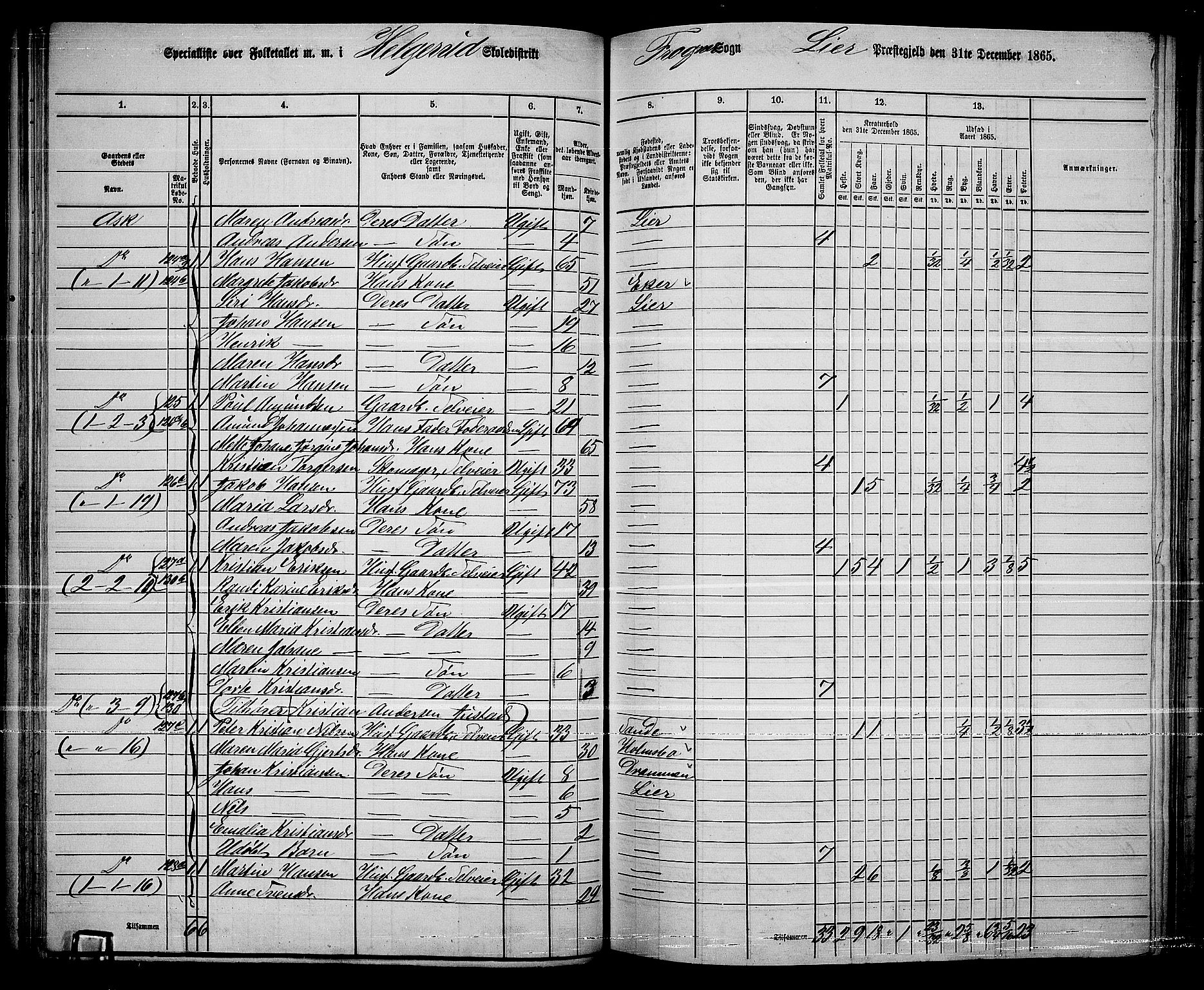 RA, 1865 census for Lier, 1865, p. 76