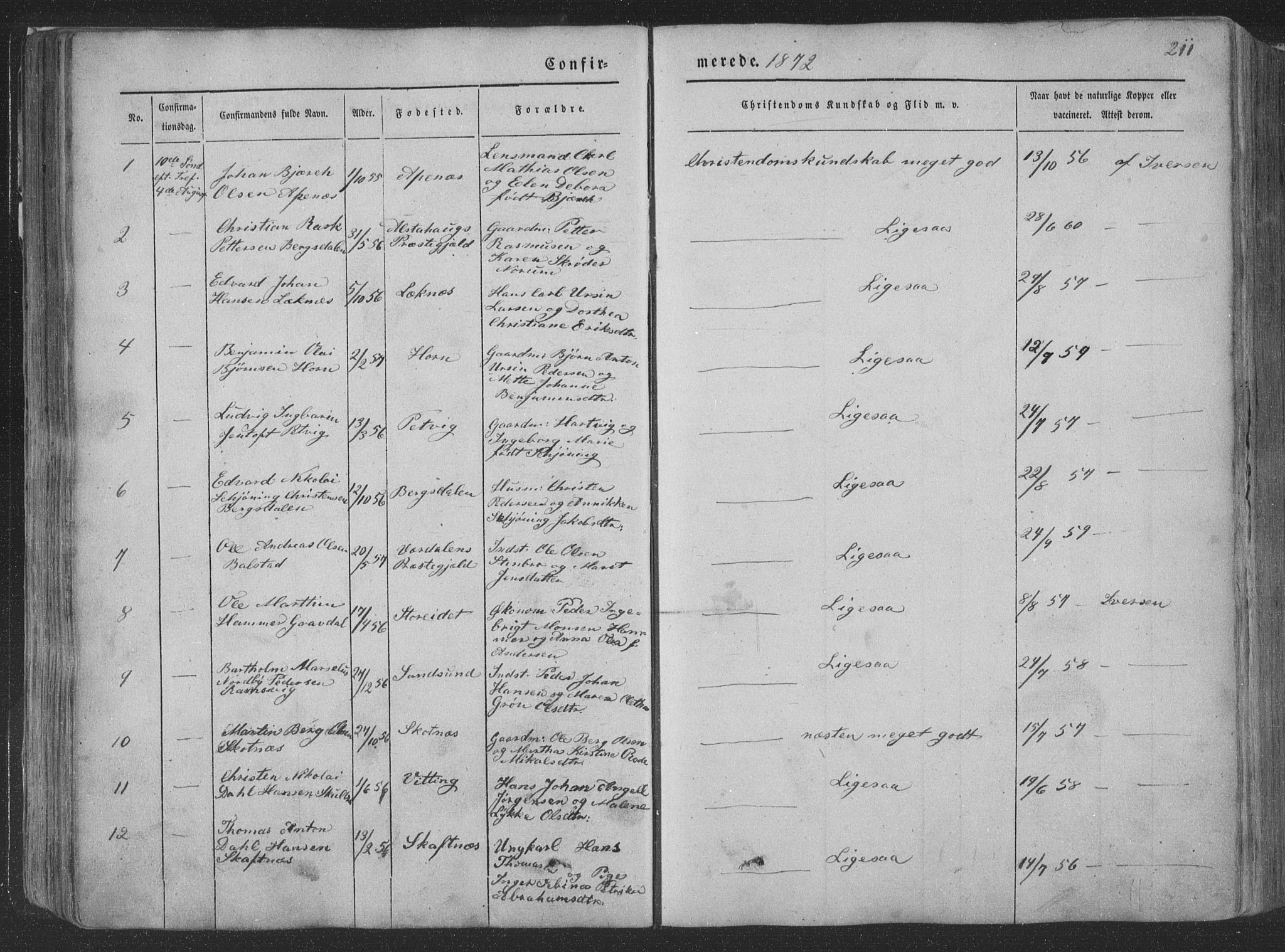 Ministerialprotokoller, klokkerbøker og fødselsregistre - Nordland, SAT/A-1459/881/L1165: Parish register (copy) no. 881C02, 1854-1876, p. 211