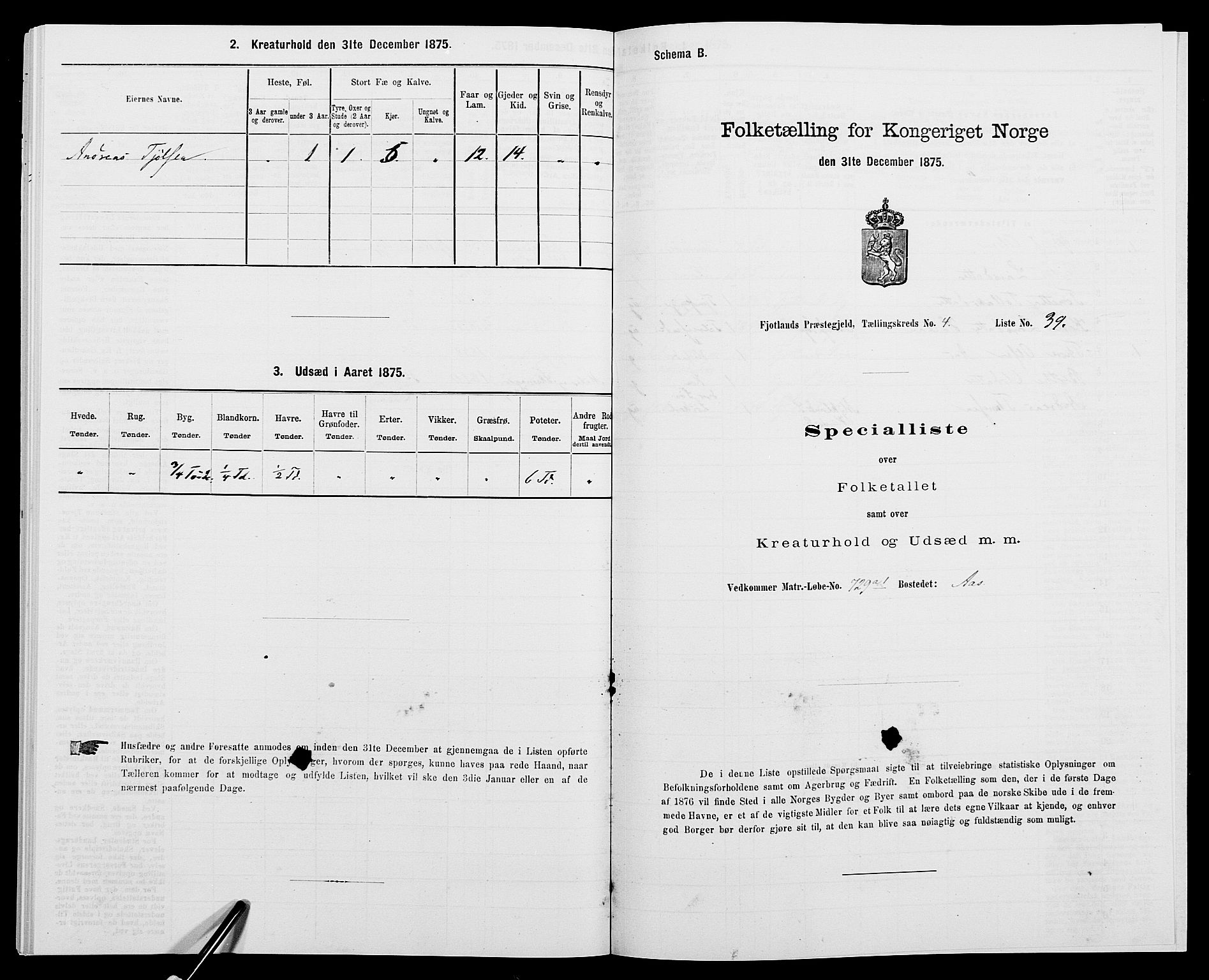 SAK, 1875 census for 1036P Fjotland, 1875, p. 293