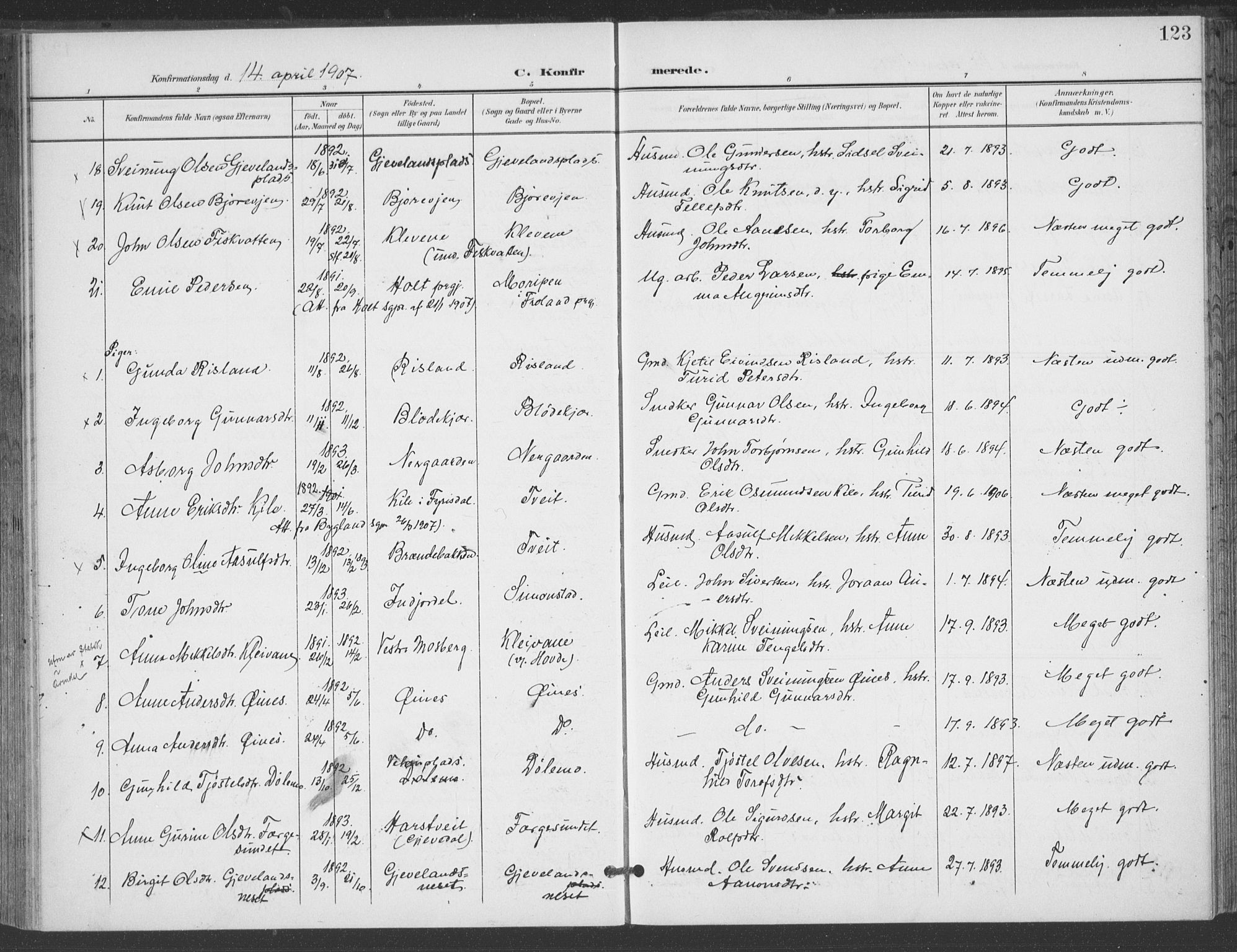 Åmli sokneprestkontor, AV/SAK-1111-0050/F/Fa/Fac/L0012: Parish register (official) no. A 12, 1900-1914, p. 123