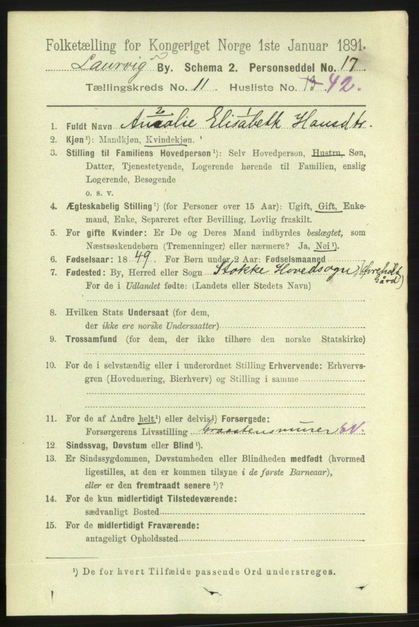 RA, 1891 census for 0707 Larvik, 1891, p. 10118