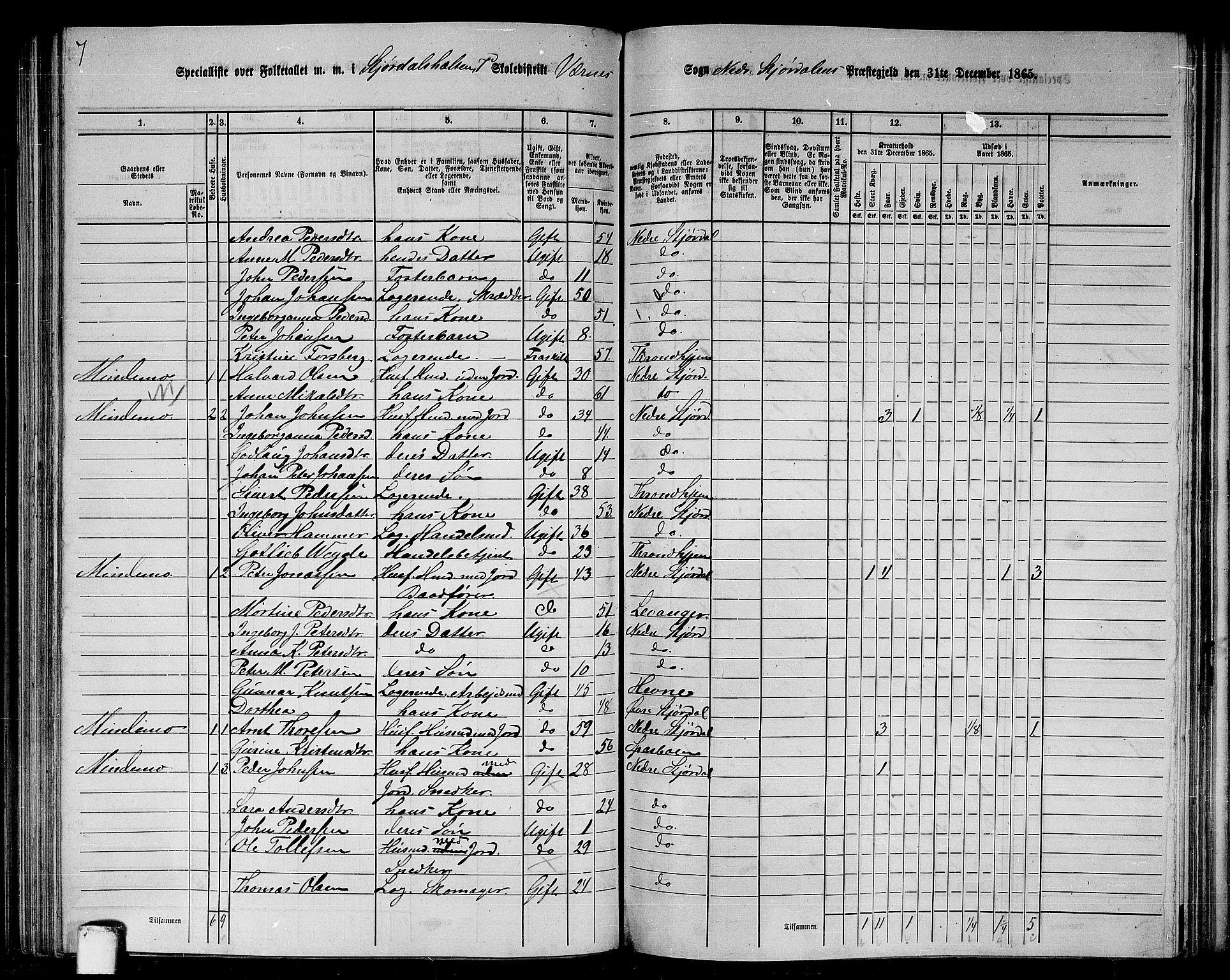 RA, 1865 census for Nedre Stjørdal, 1865, p. 171