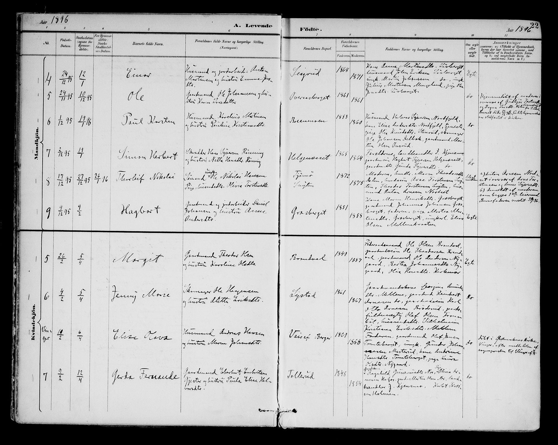 Brandval prestekontor, AV/SAH-PREST-034/H/Ha/Haa/L0003: Parish register (official) no. 3, 1894-1909, p. 22