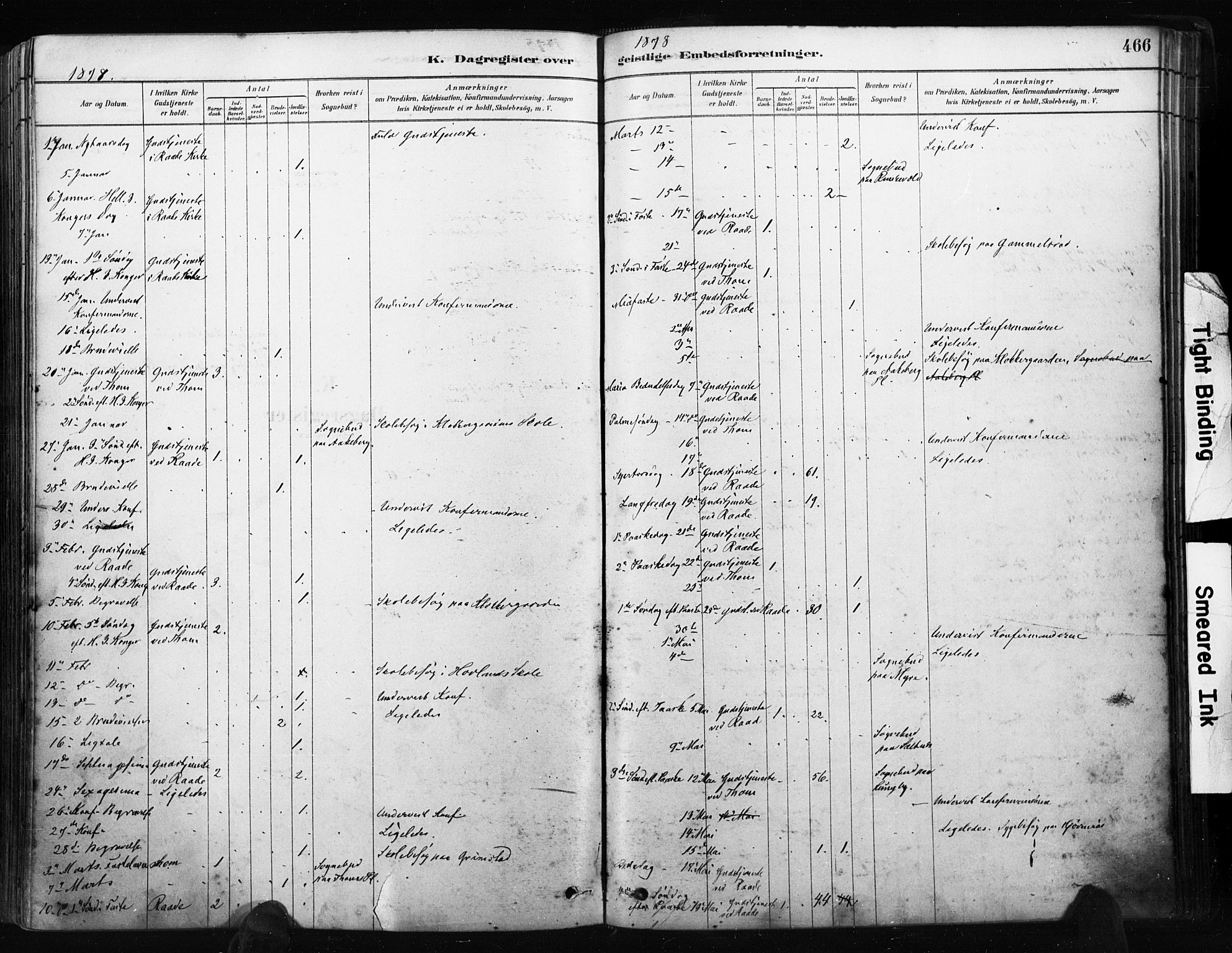 Råde prestekontor kirkebøker, AV/SAO-A-2009/F/Fa/L0007: Parish register (official) no. 7, 1878-1902, p. 466