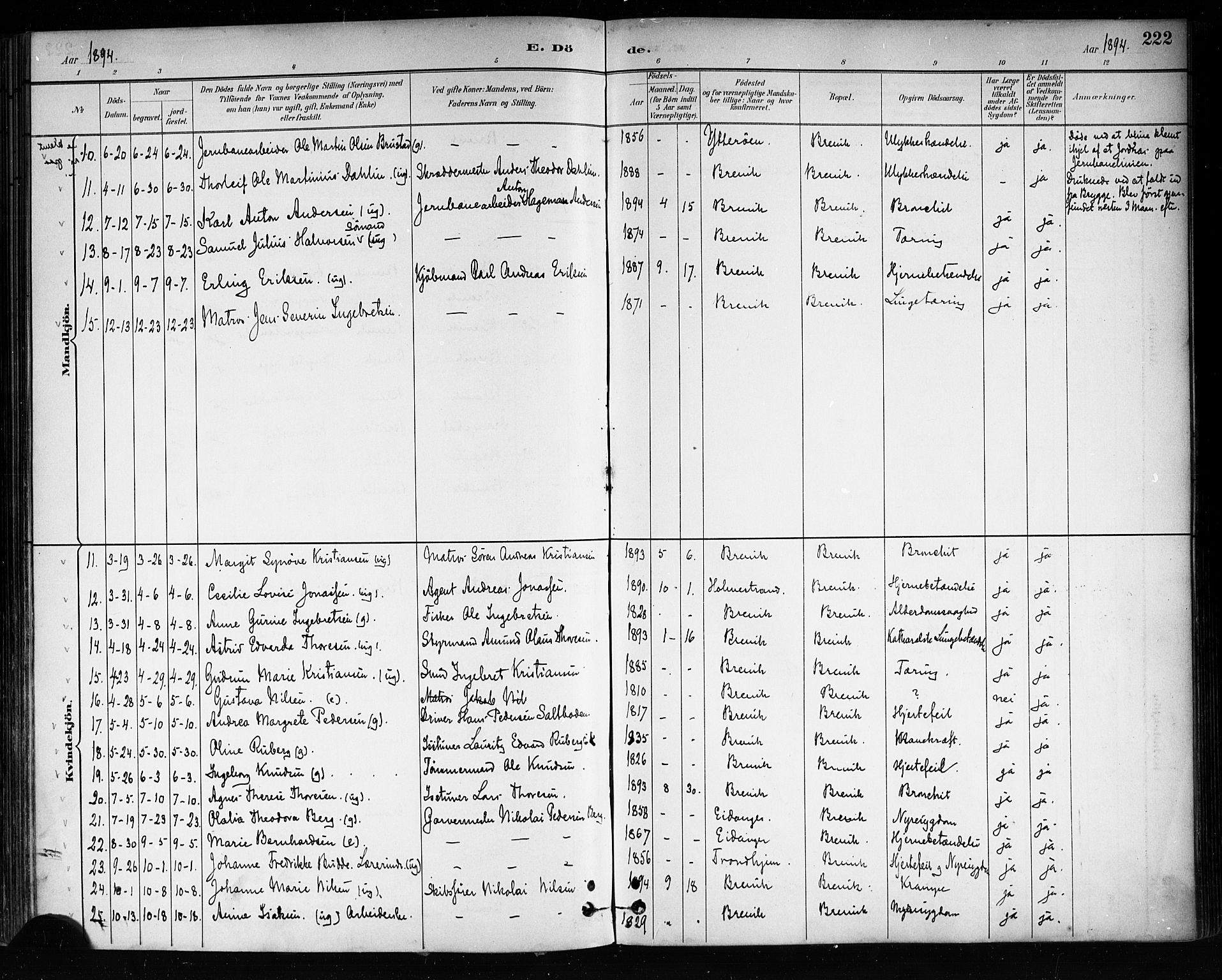 Brevik kirkebøker, SAKO/A-255/F/Fa/L0007: Parish register (official) no. 7, 1882-1900, p. 222